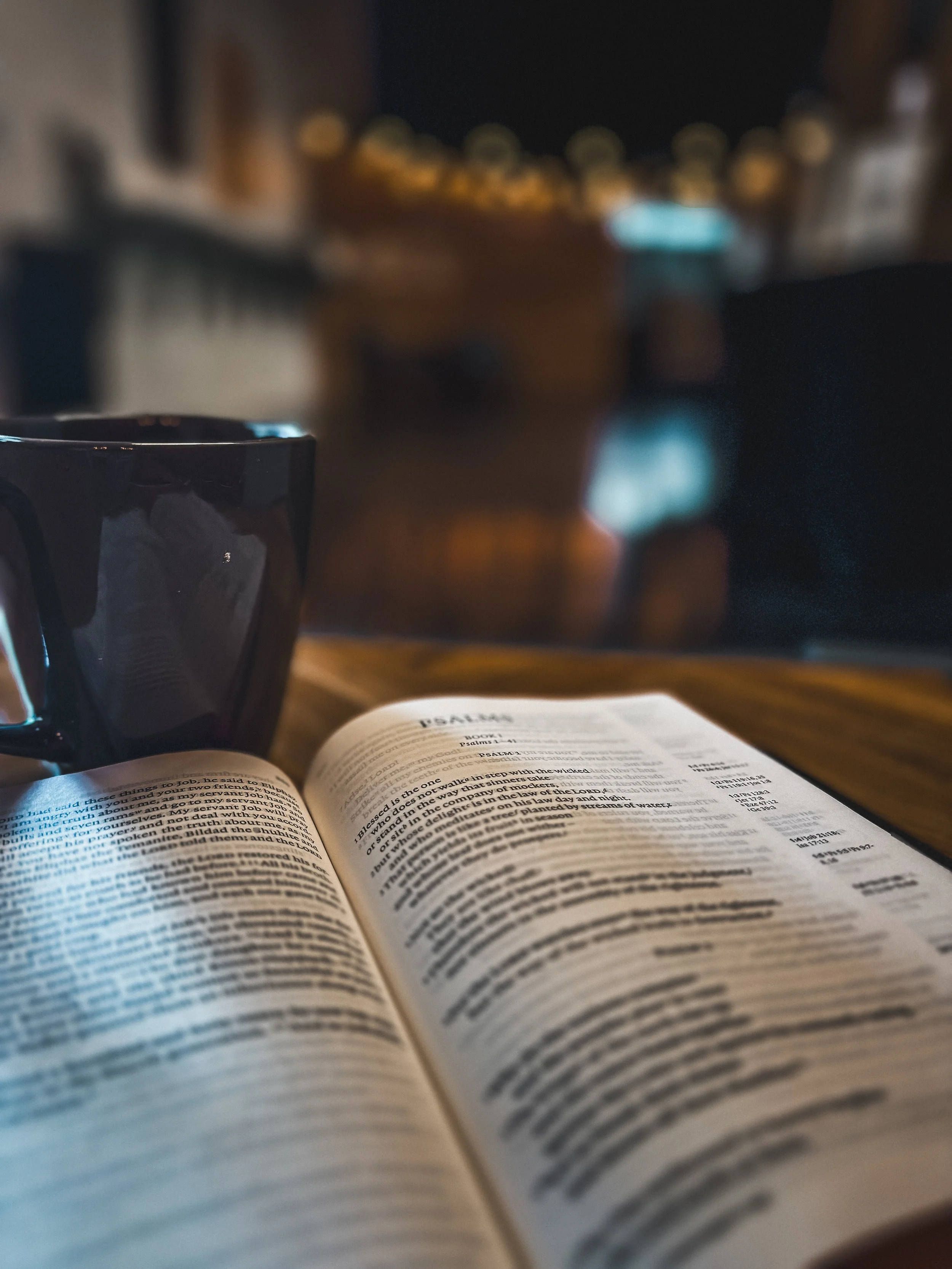 Summer in the Psalms (Psalm 22 Reading Guide)