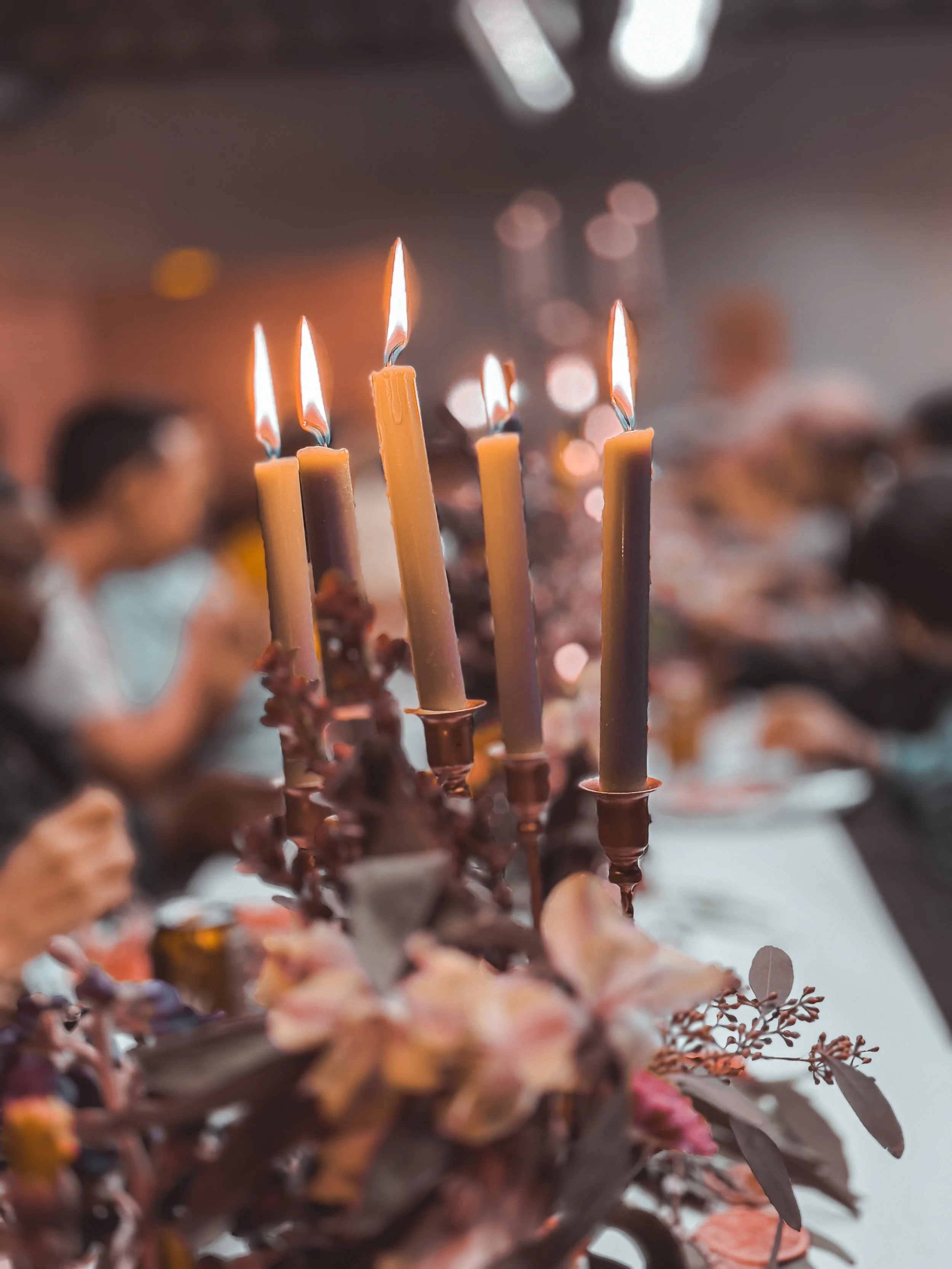 The Final Act: Renewed Bodies For Restored Creation