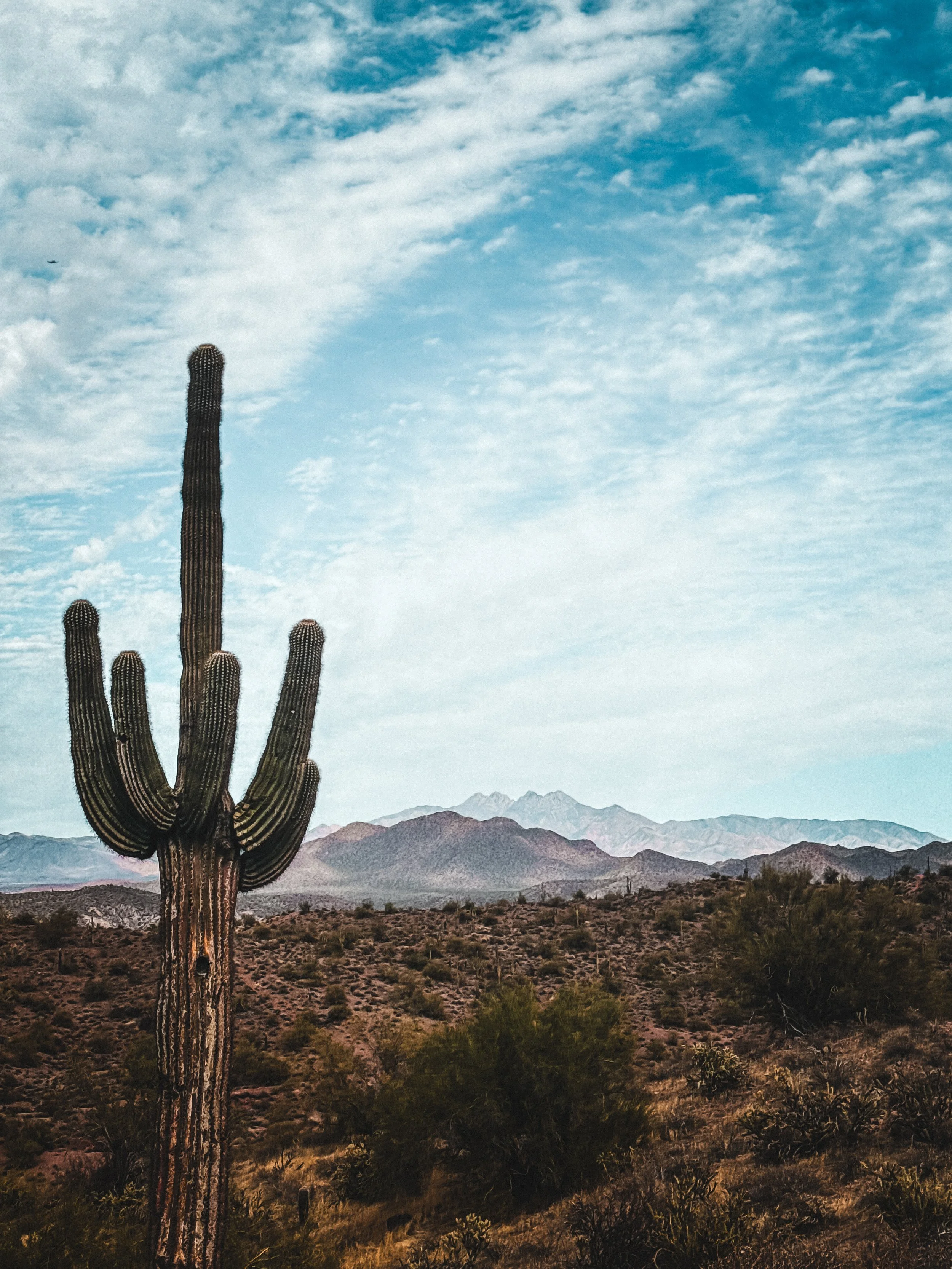 Formed by God. Together. For the Sake of Others. 