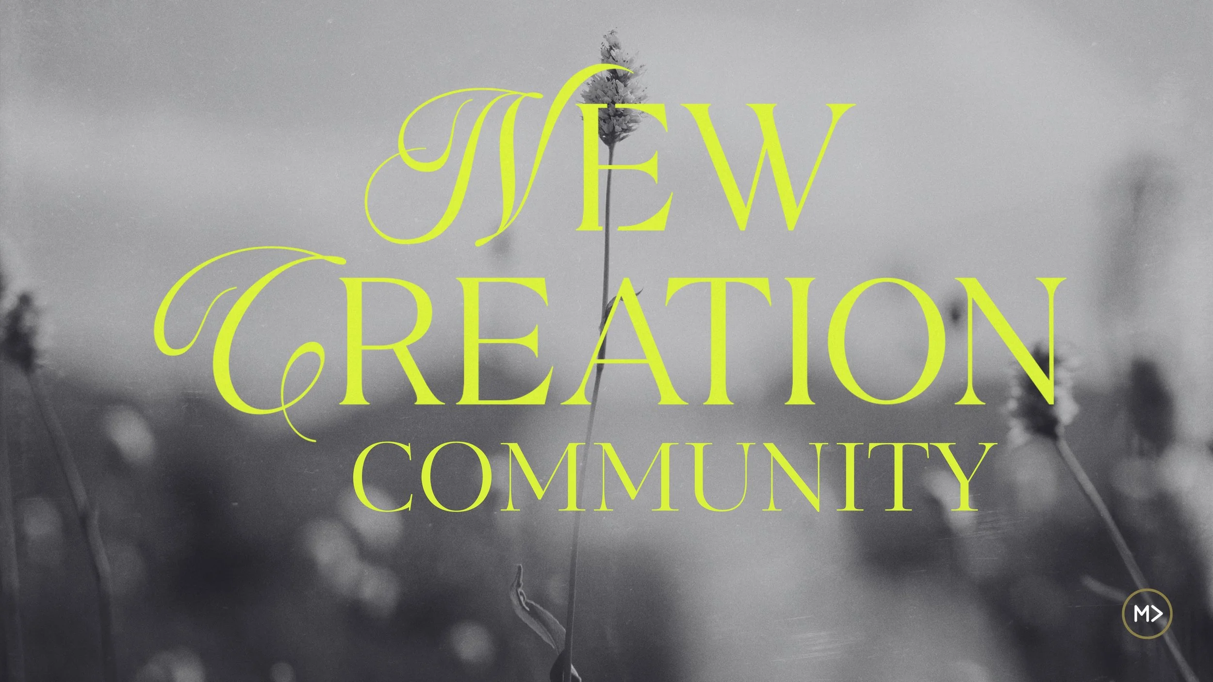 Equip the Church to Take Up Their Role