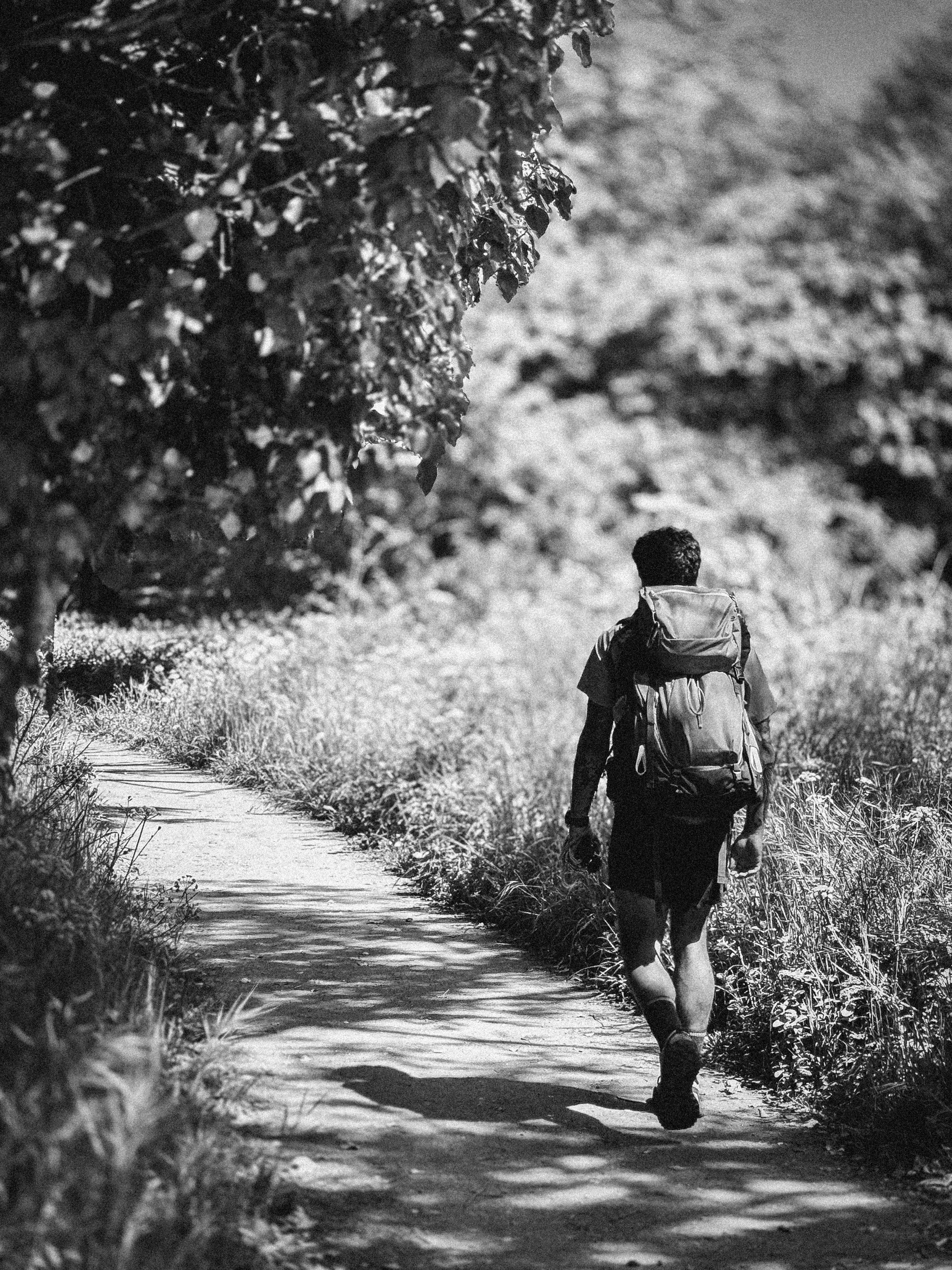 What is my role in God's Story? (pt1) 