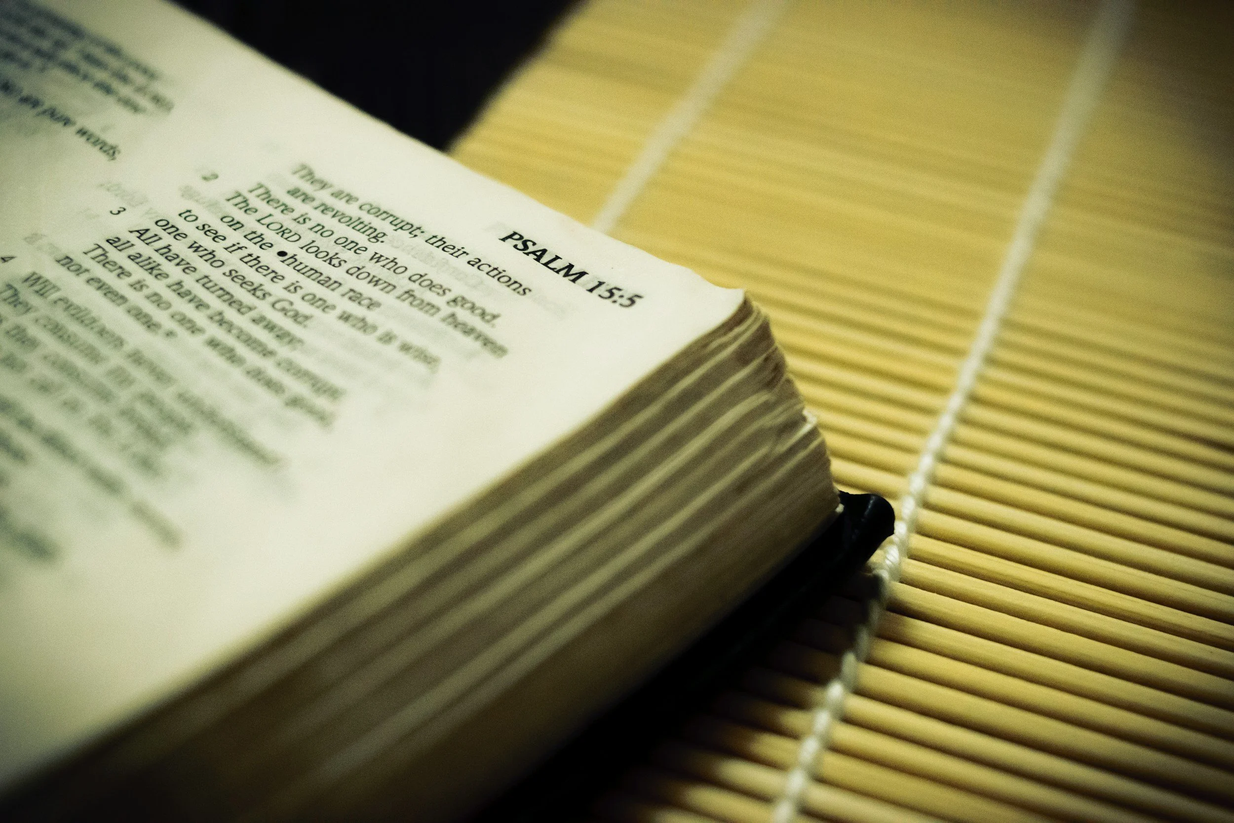 Reading the Psalms With Missio