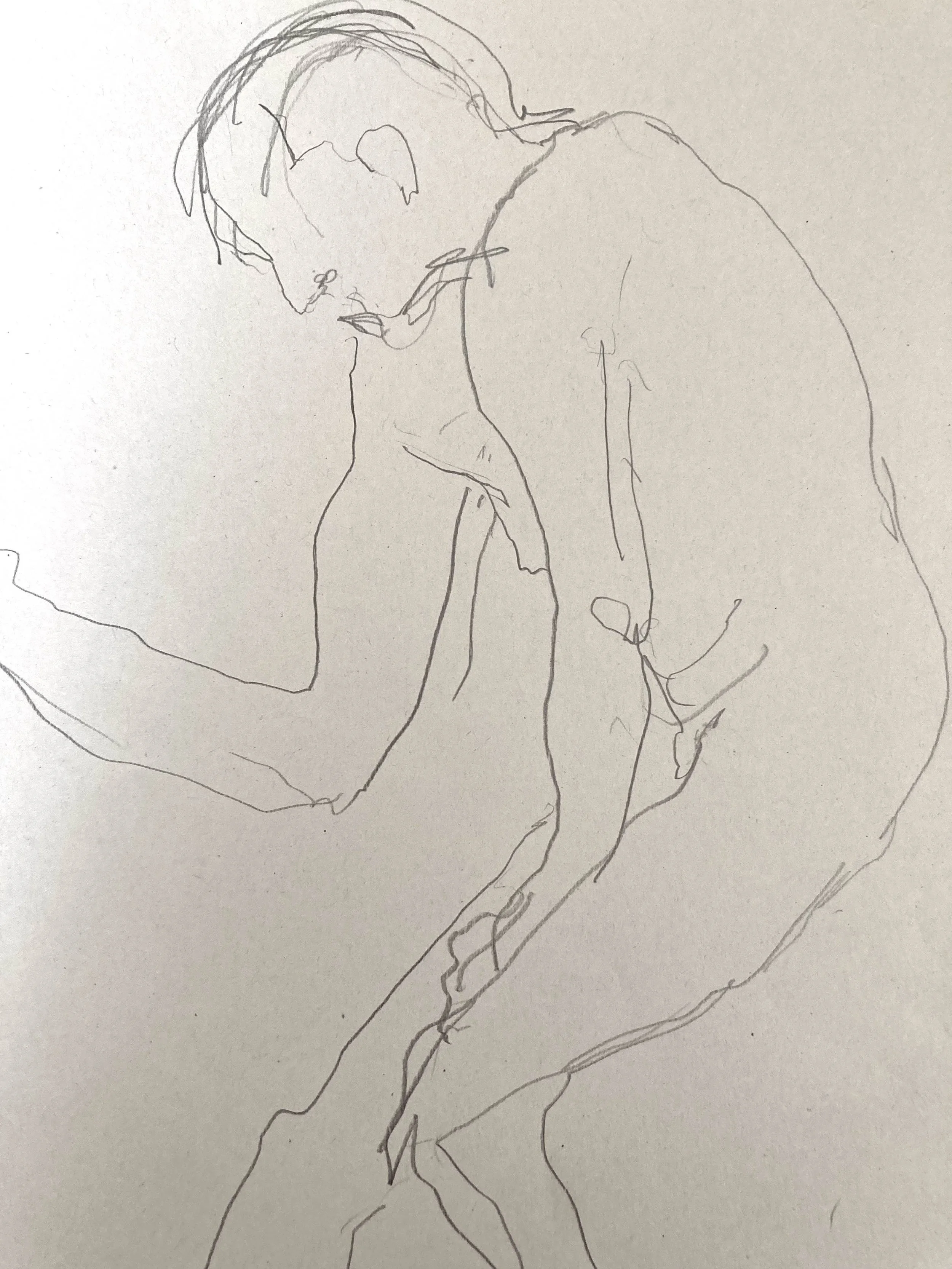 2d.jpg
