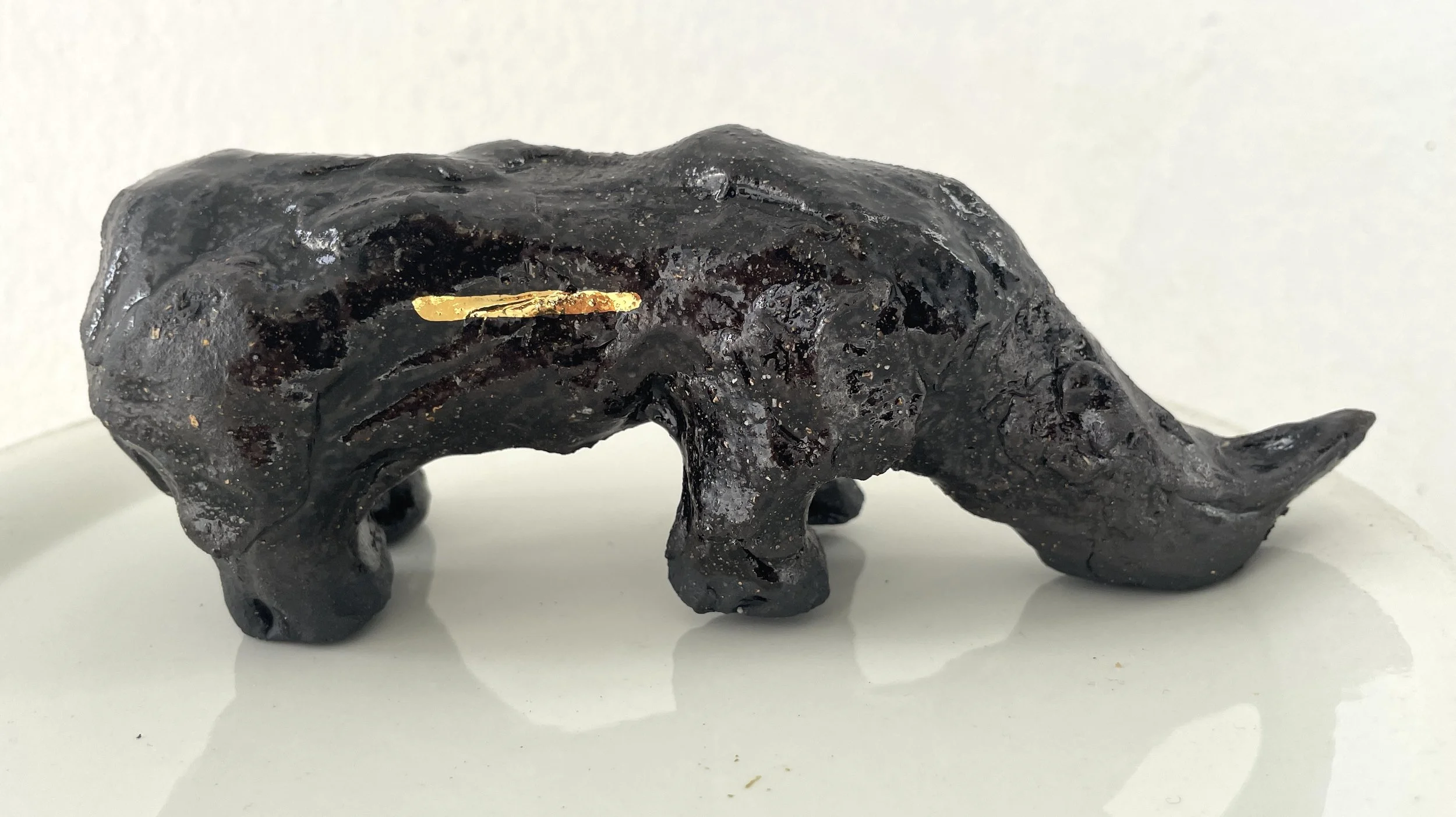 CT RHINO.jpeg