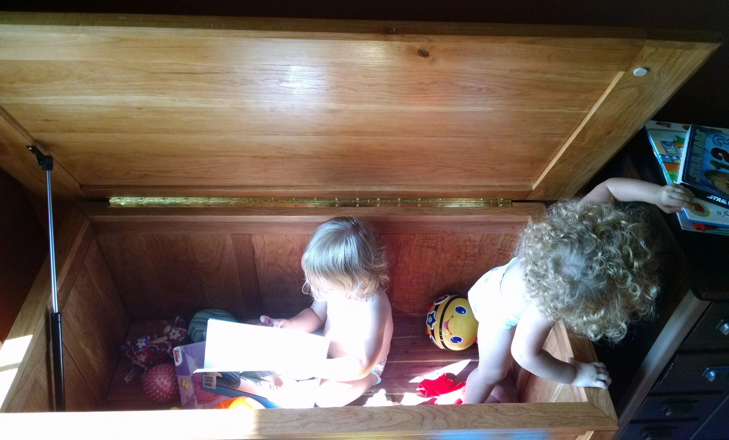 Currently a Toy Chest