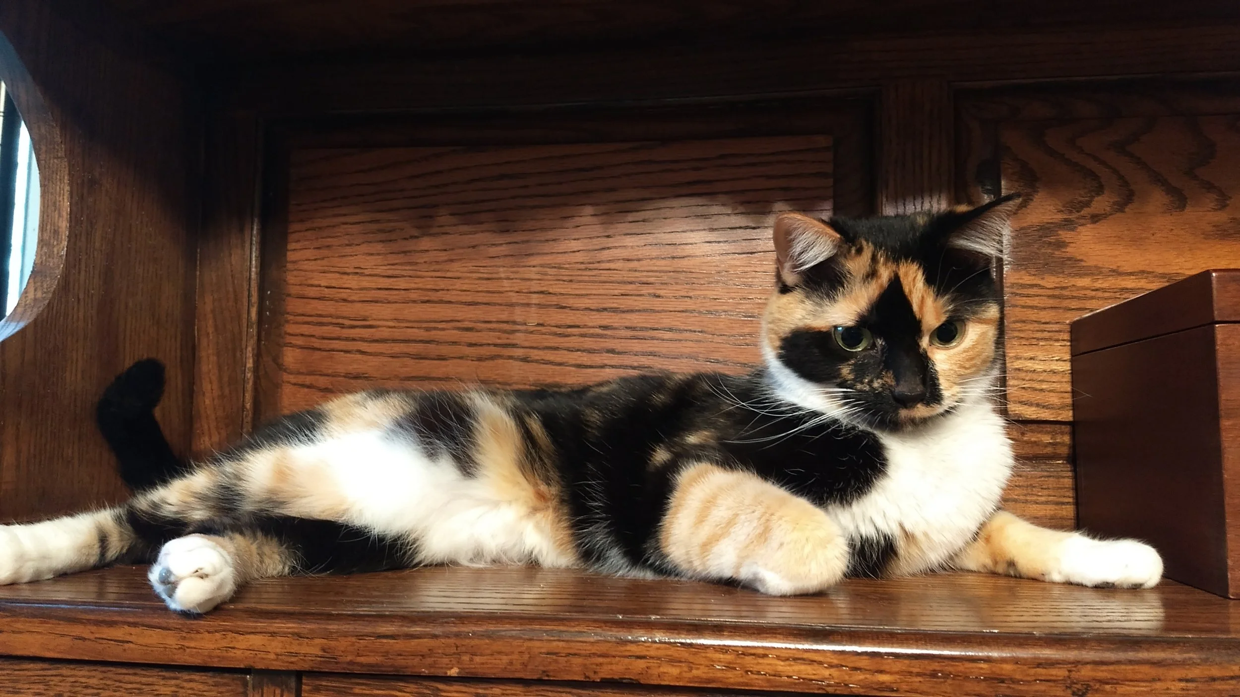 Lounging Penelopete (Actual)