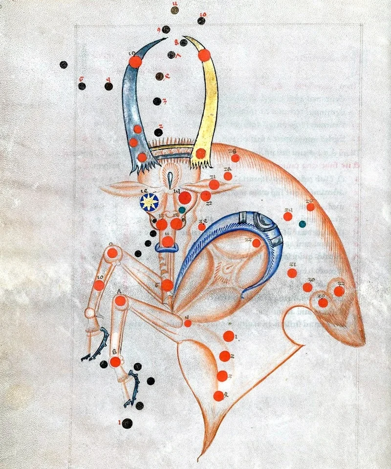 The constellation Taurus from 'Sufi Latinus' (Latin translation of ‘Kitāb al-kawākib al-thābita’ of 'Abd al-Rahmān al-Ṣūfī), Bologna 1250-1275. From: Celestial Archive Advent Calendar