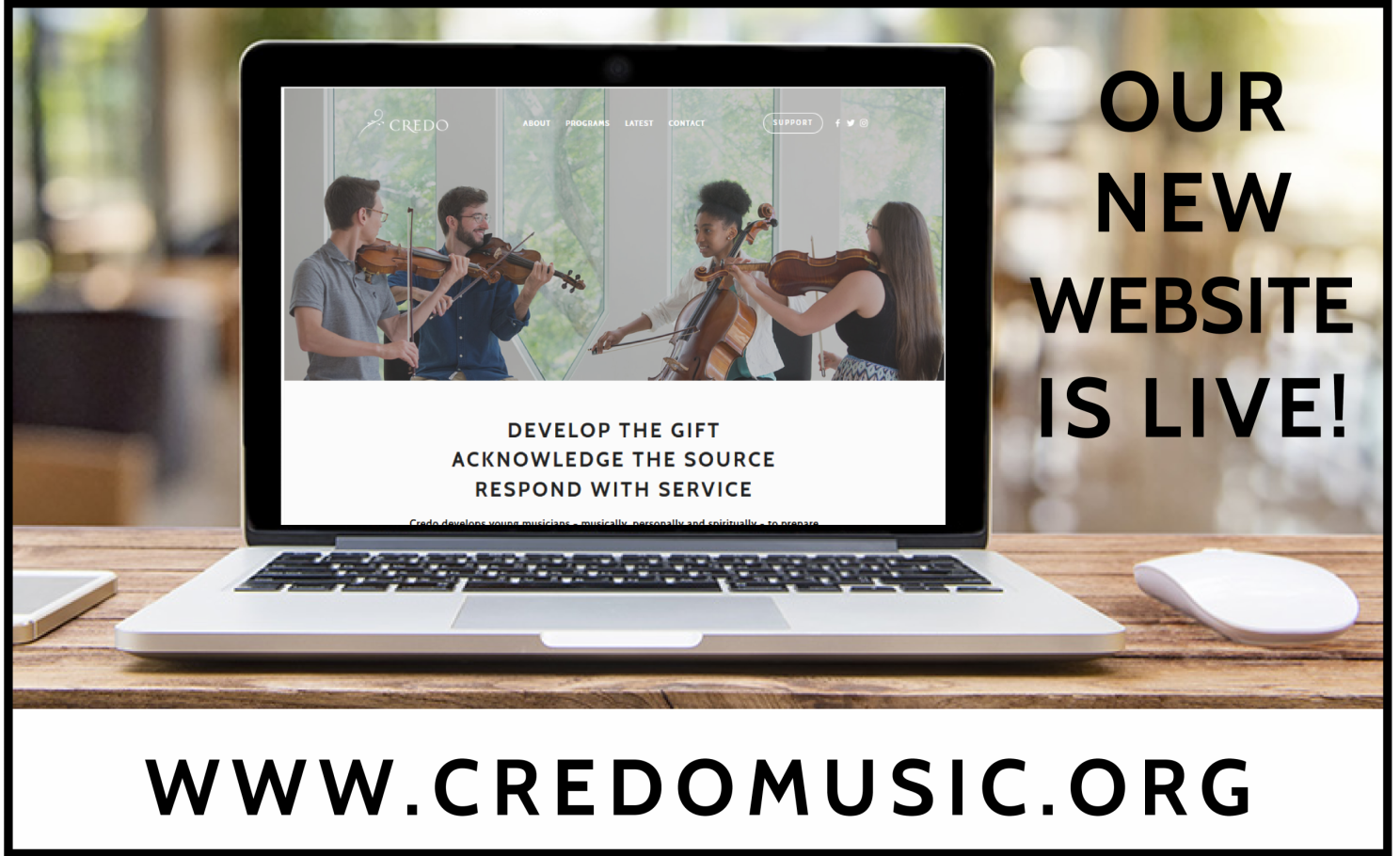 Welcome to Credo's New Website!