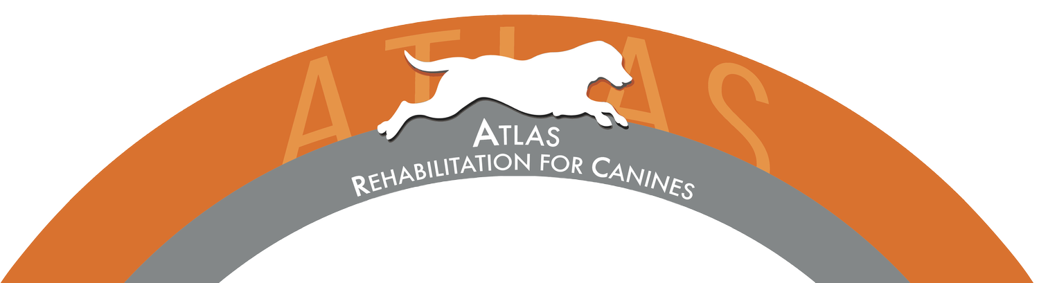 Atlas Rehabilitation for Canines