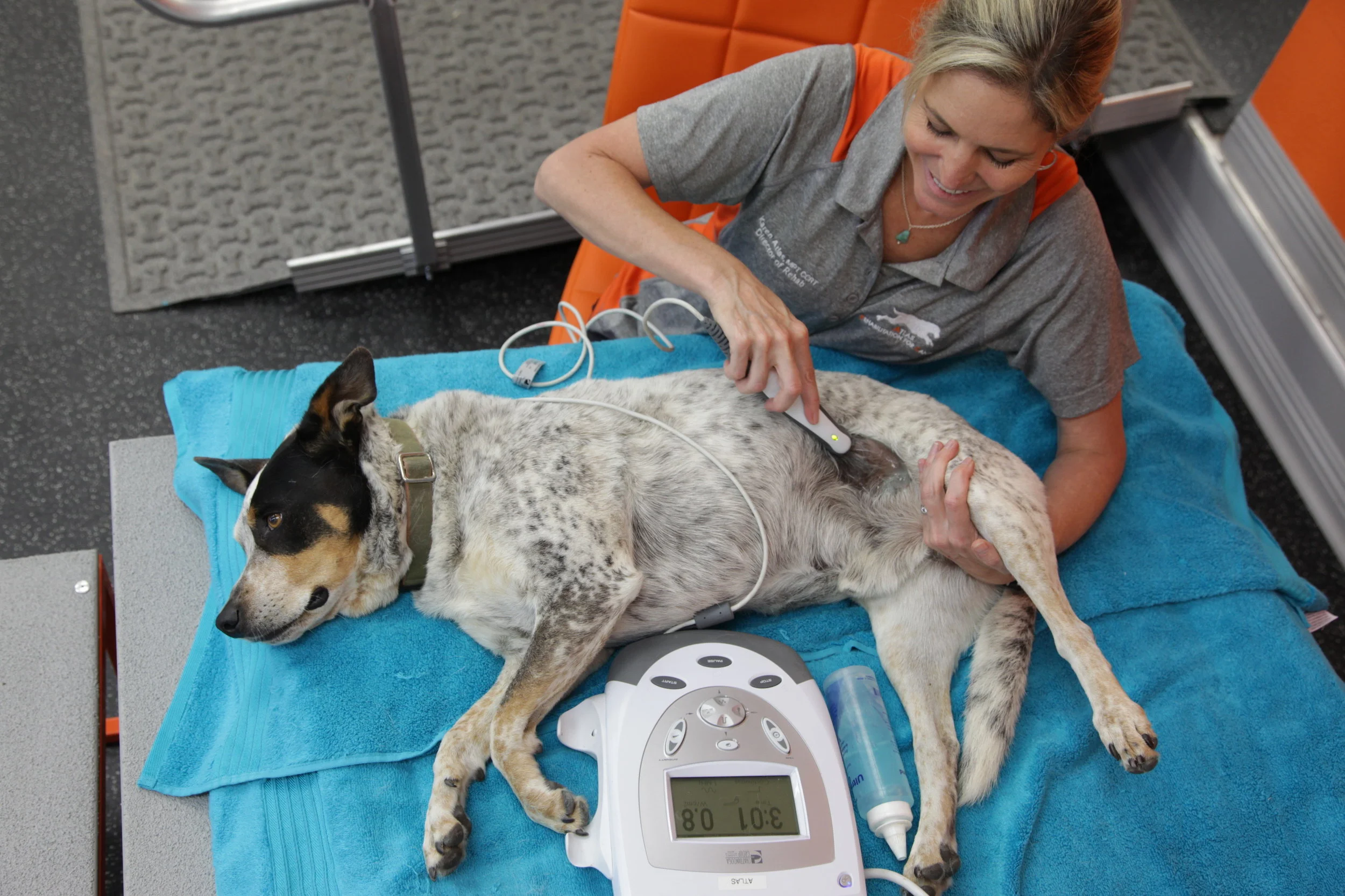 hill's prescription diet canine