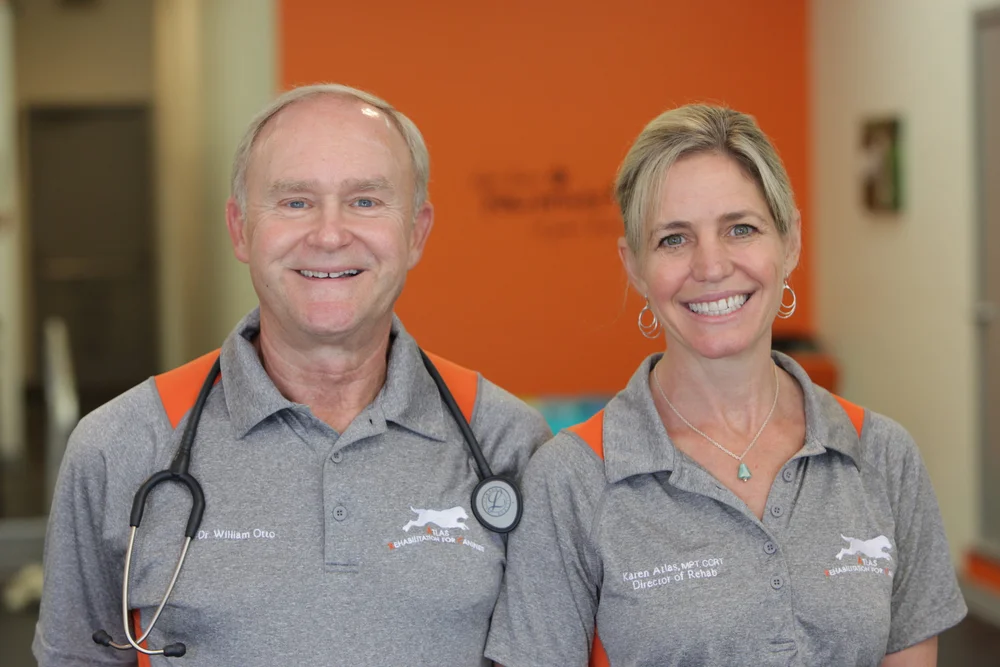 Atlas Rehabilitation for Canines — Animal Physical Rehabilitation Therapy