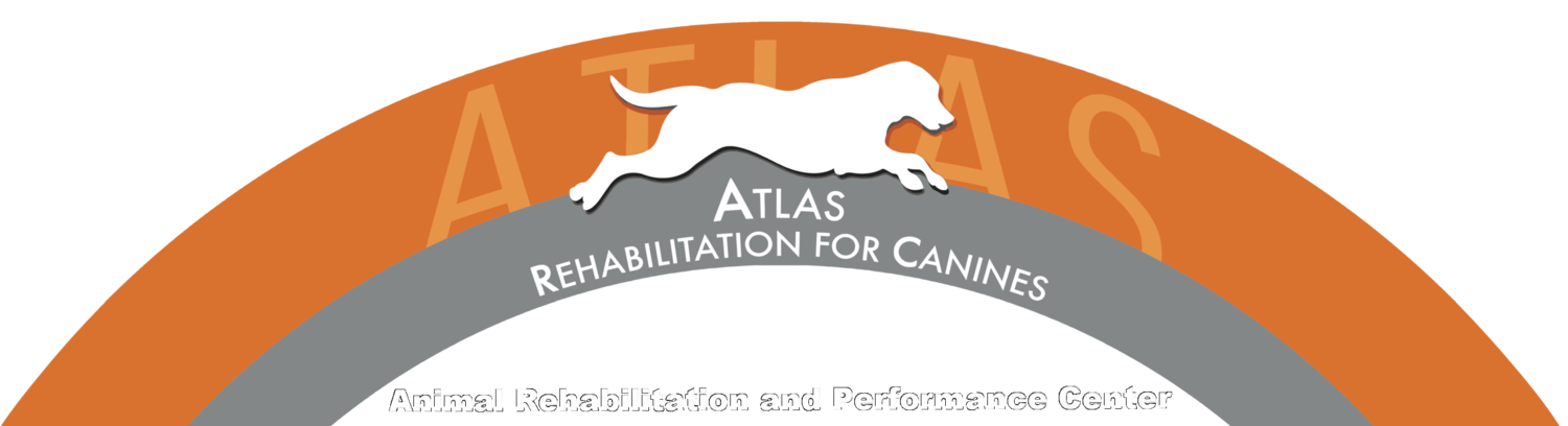 Atlas Rehabilitation for Canines