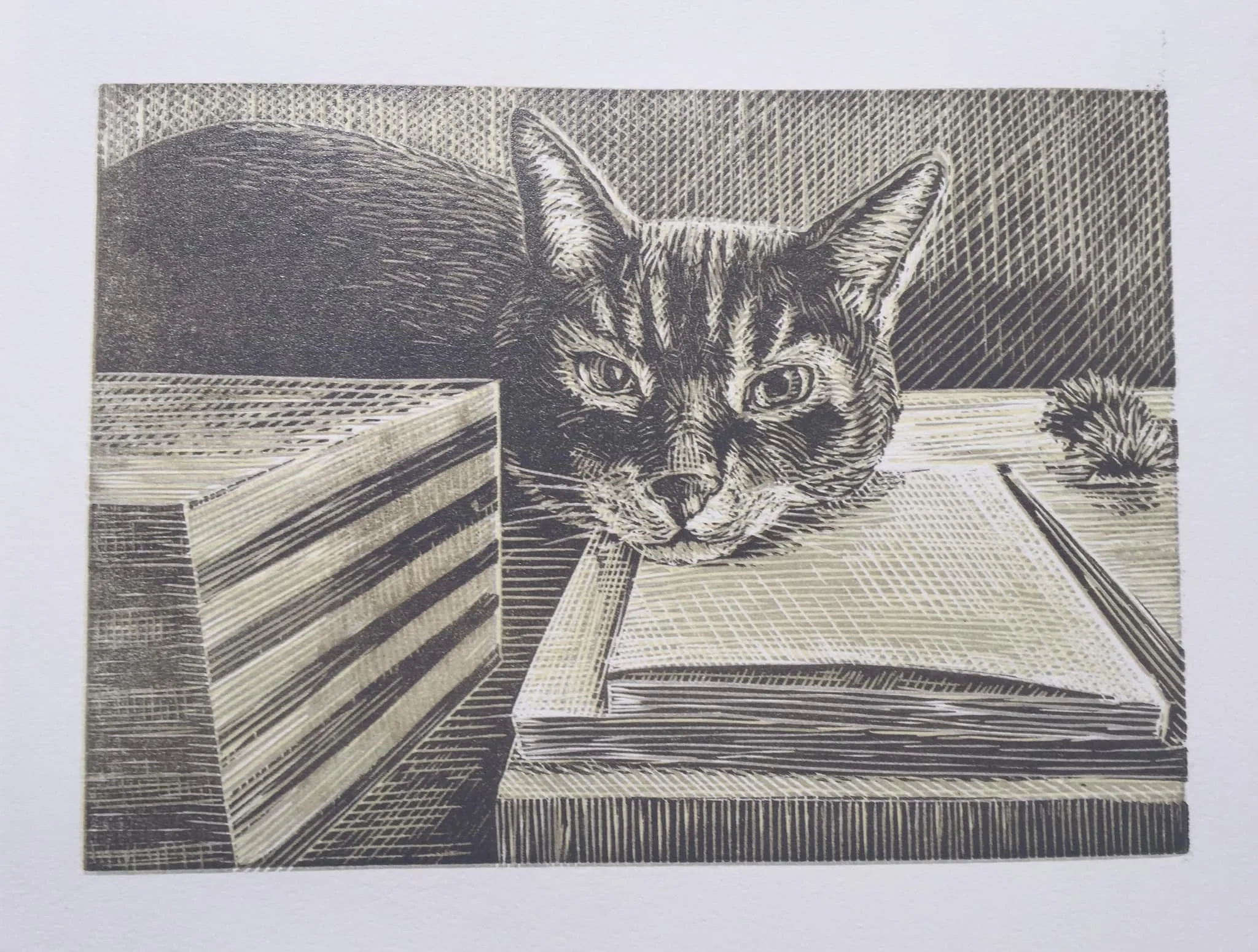 Here’s the next darker layer of grey on my reduction linocut of Sliver. This layer is darker and a cooler grey than the previous. Next will be an even darker layer.