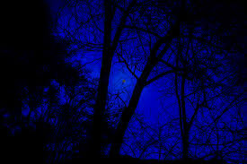 blue night sky.jpeg