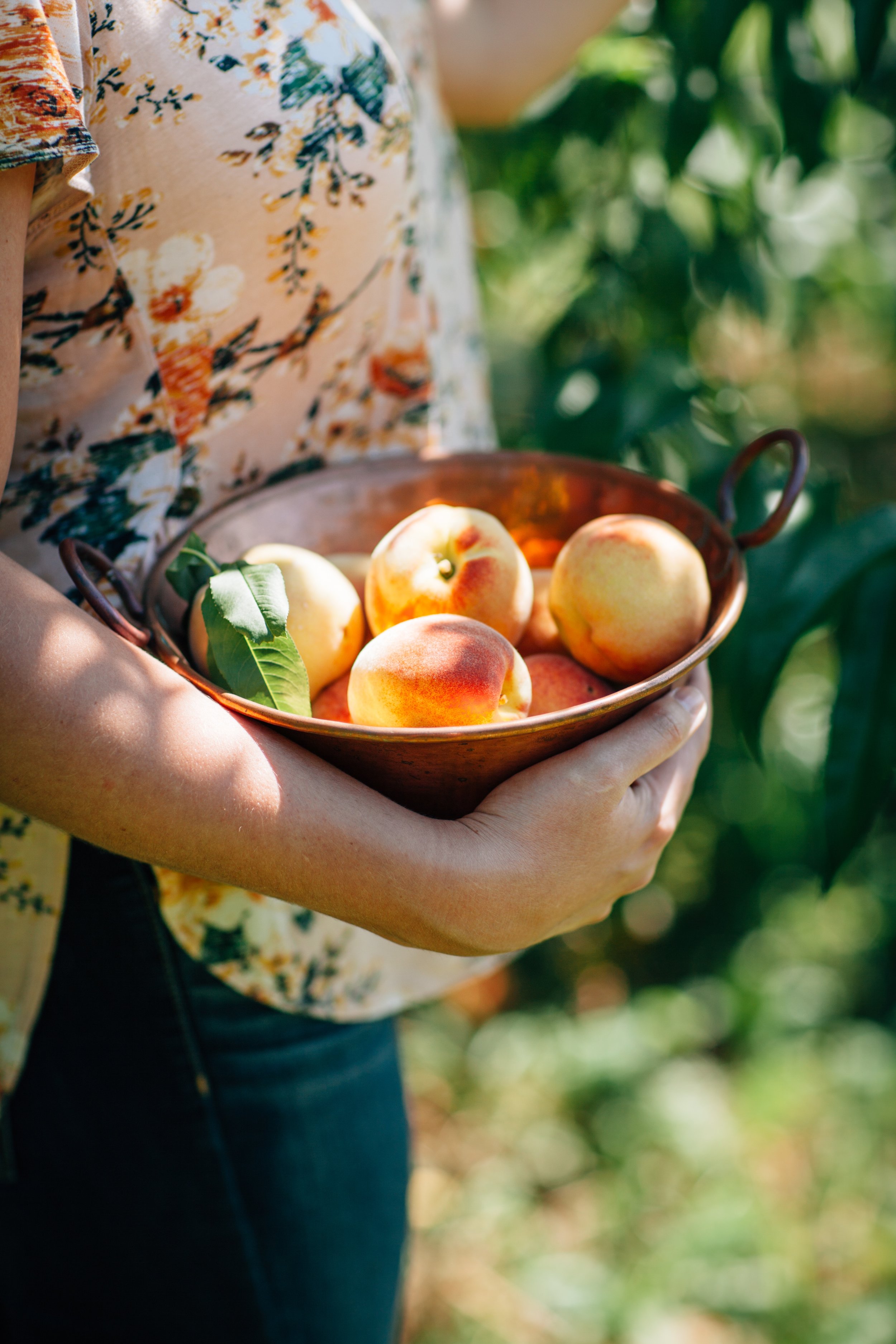 Palisade Peaches: Delicious Colorado History