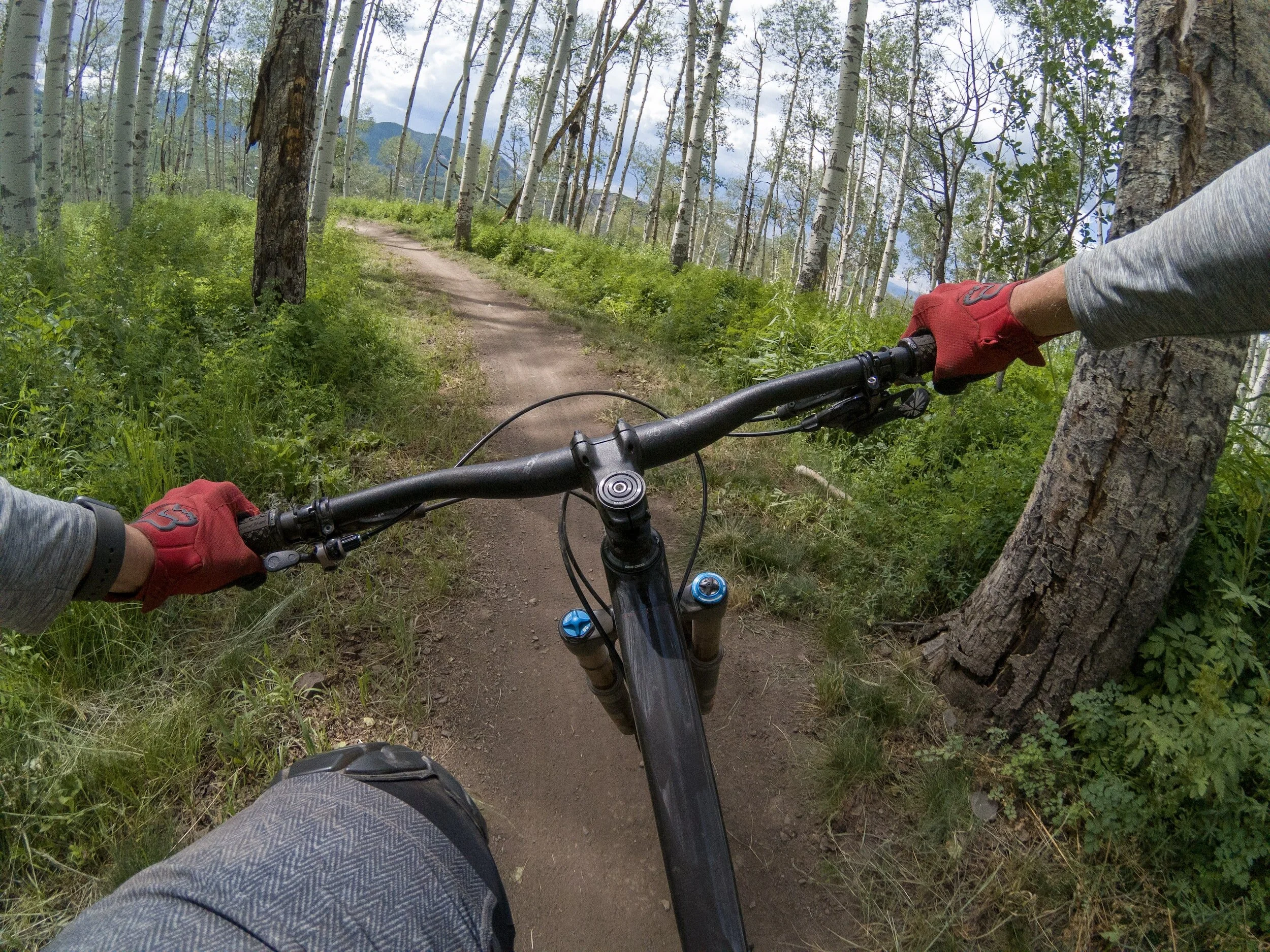 Mountain Biking + Road Biking in Dillon, CO