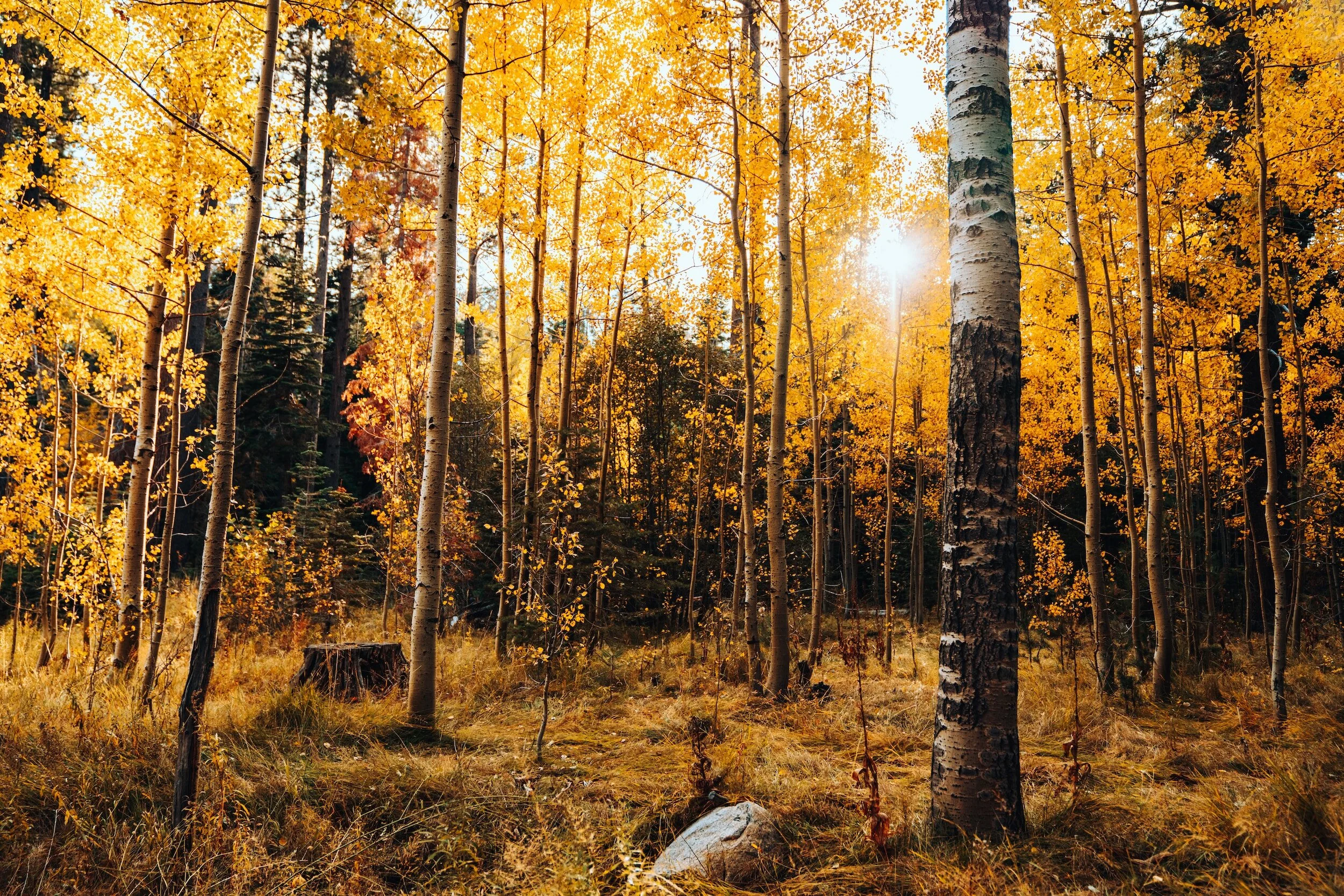 Fall Events in and near Dillon, CO 