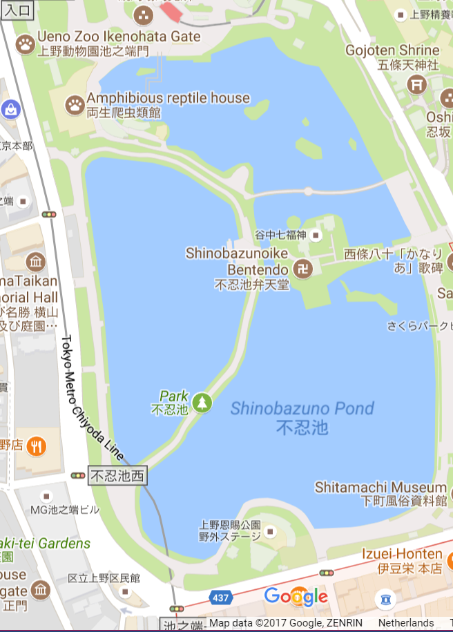 shinobazu pond.png