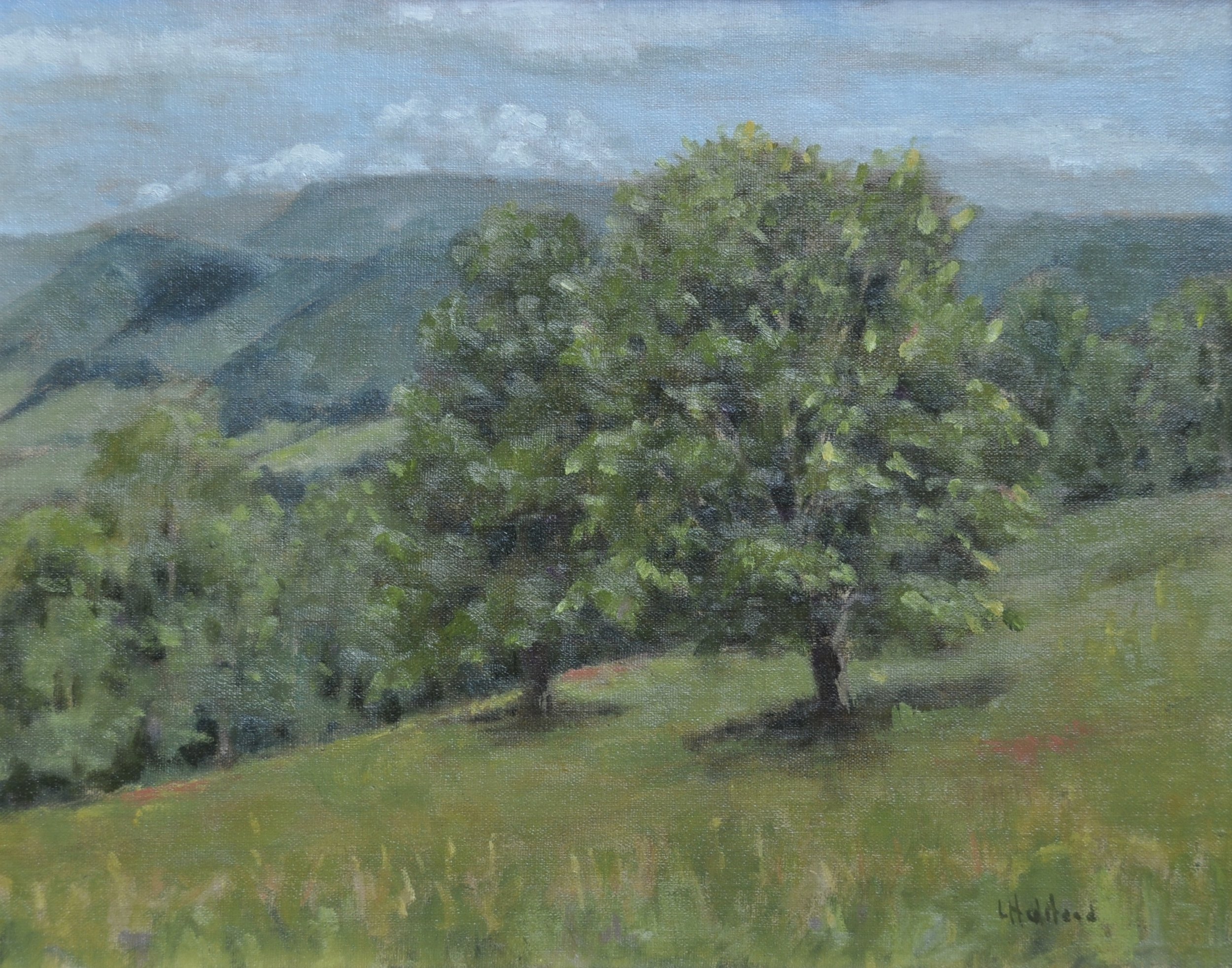 Two Maples, Oil on linen, 11 x 14