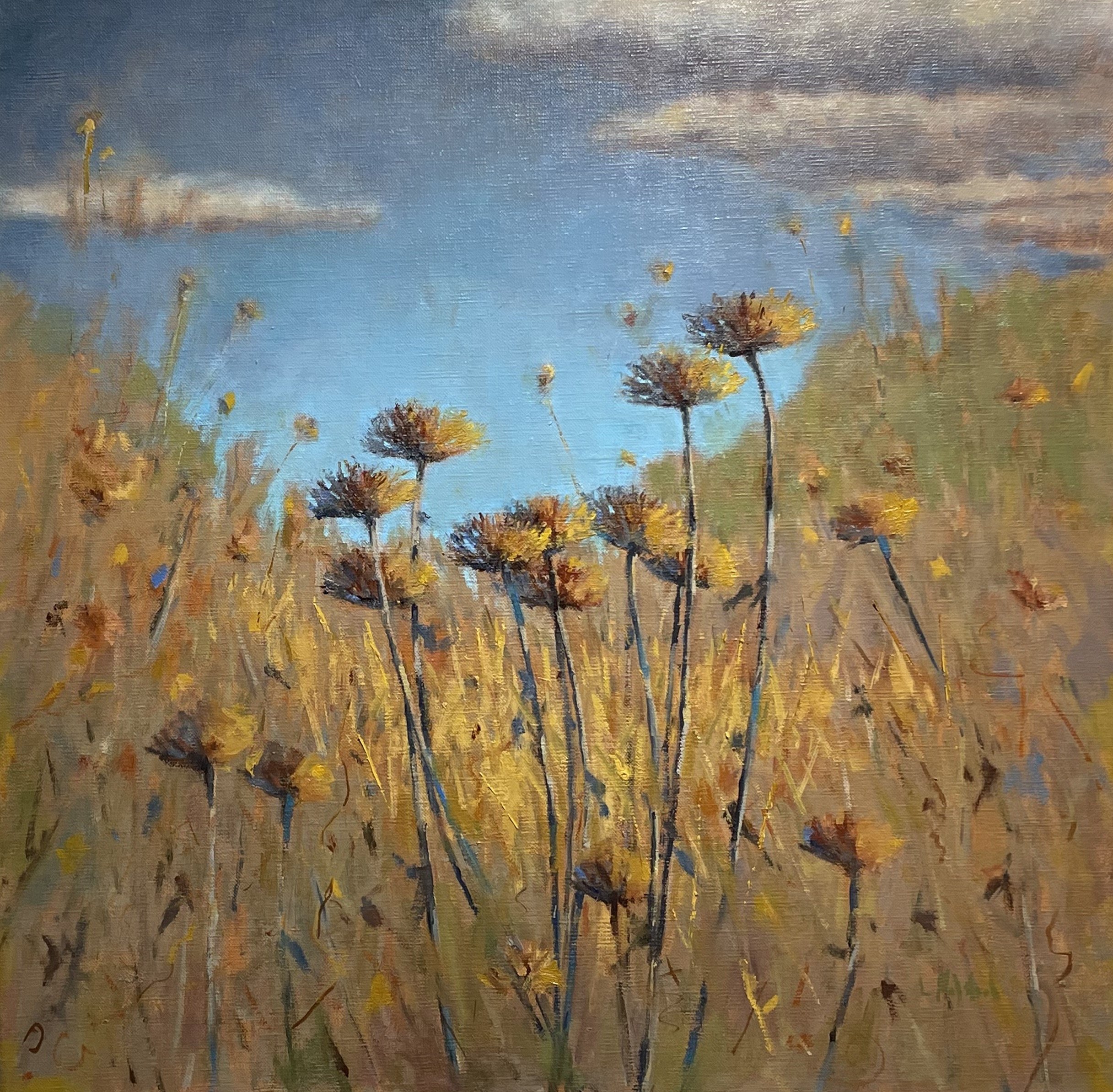 Scattering Seeds, oil on linen 20 x 20, sold