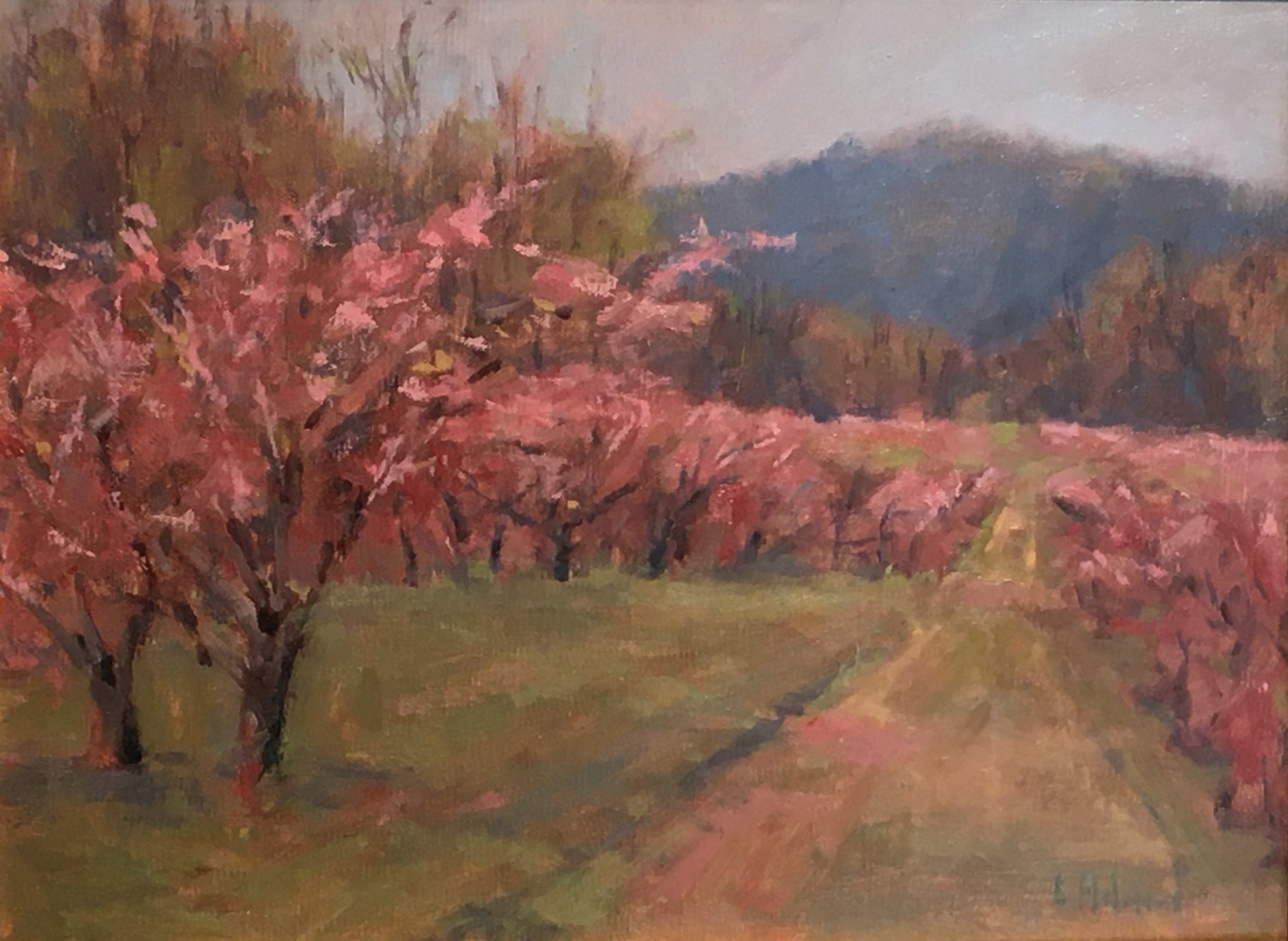 Orchard Pink, oil on linen, 9 x 12