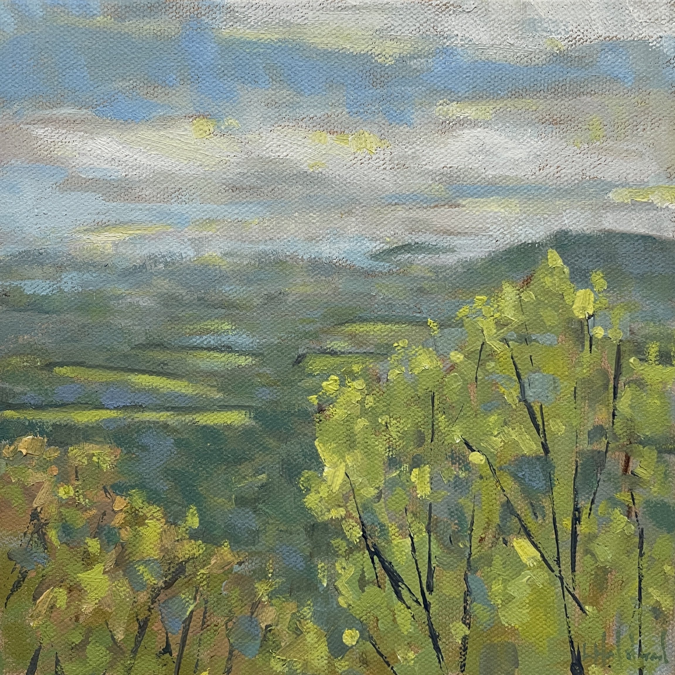 *Rockfish Spring, oil on linen, 8 x 8