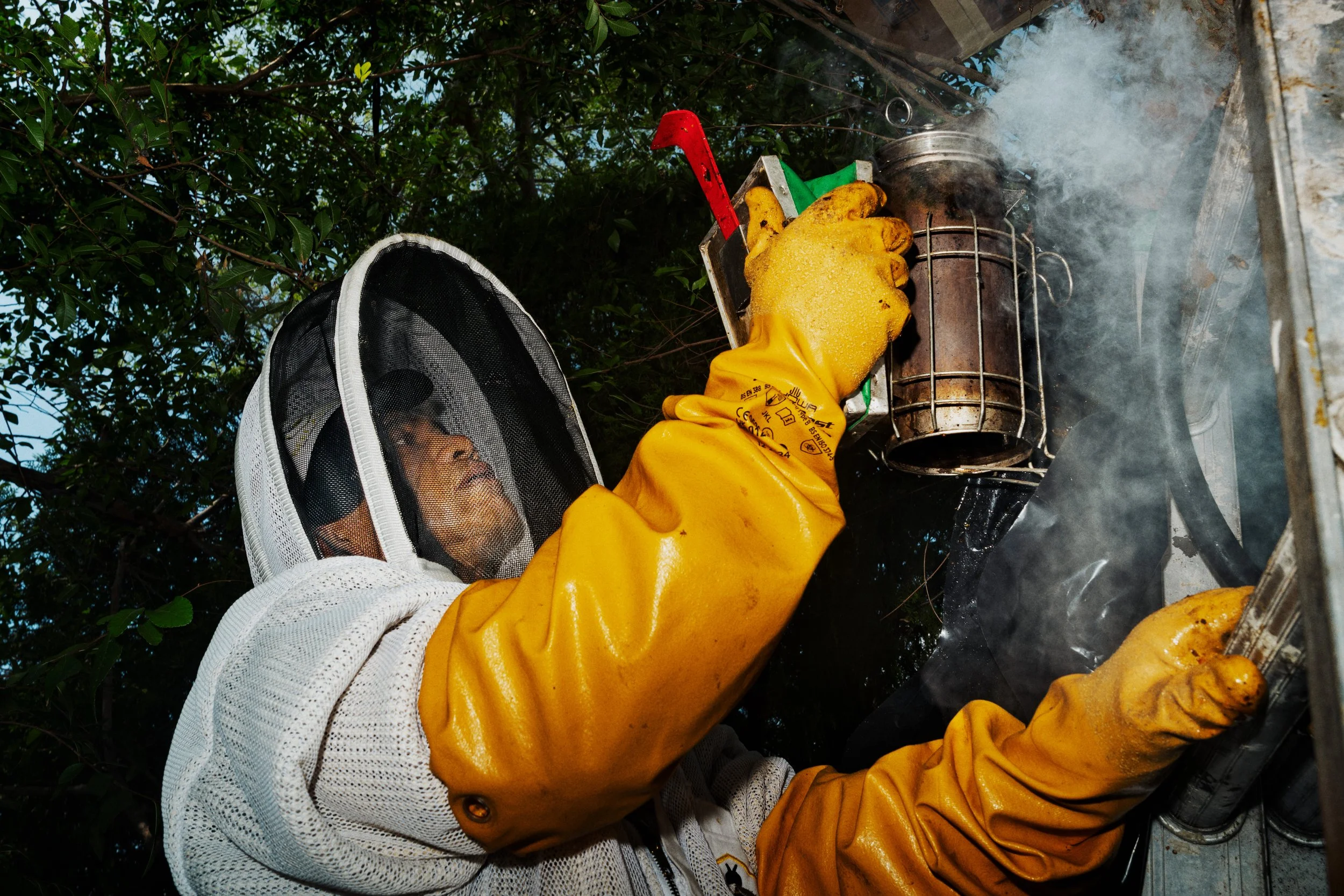 ENR_LATIMES_BEES_08.jpg