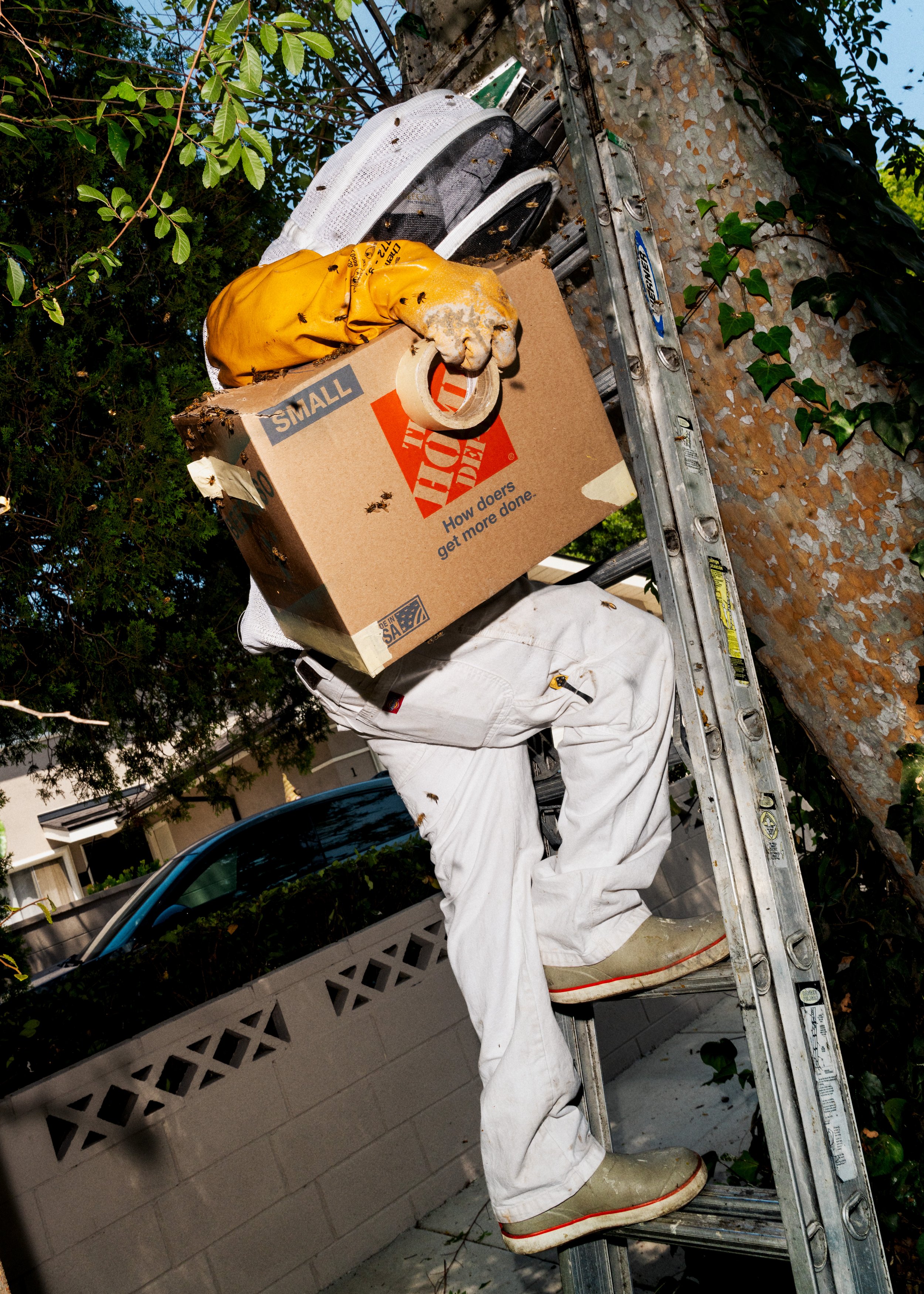 ENR_LATIMES_BEES_11.jpg