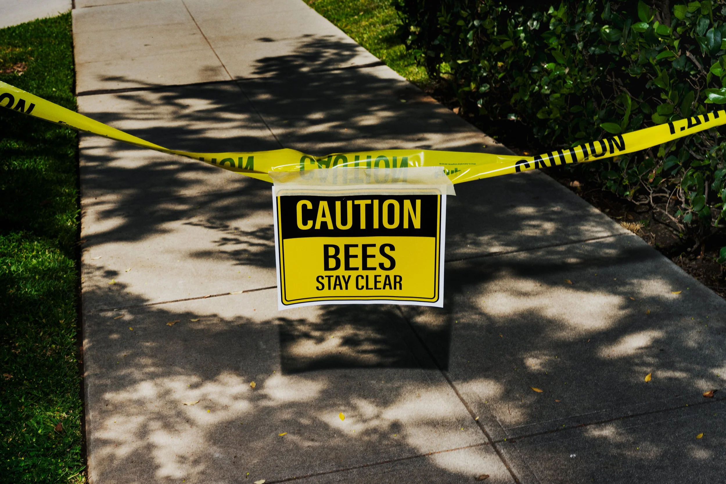 ENR_LATIMES_BEES_16.jpg