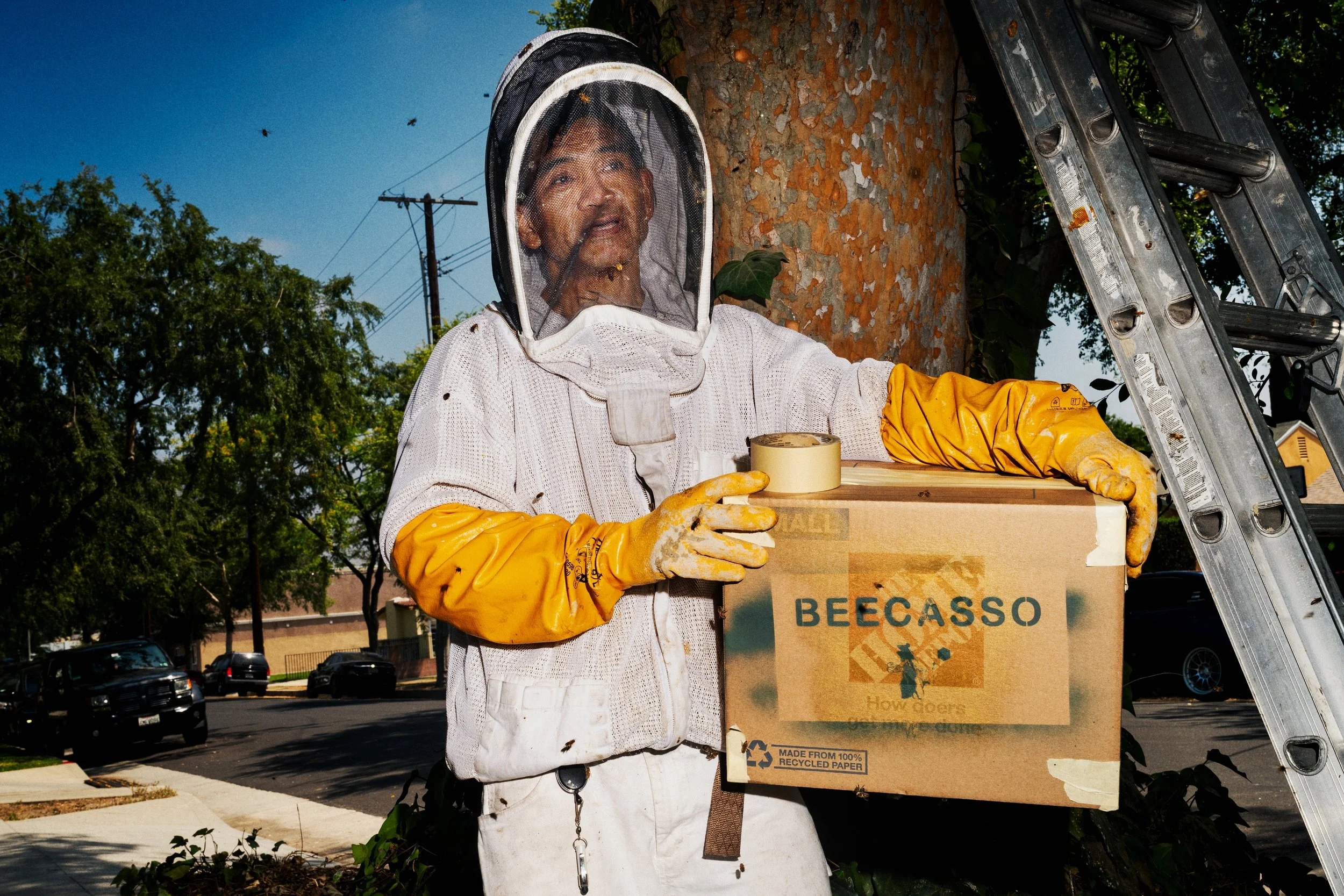 ENR_LATIMES_BEES_14.jpg