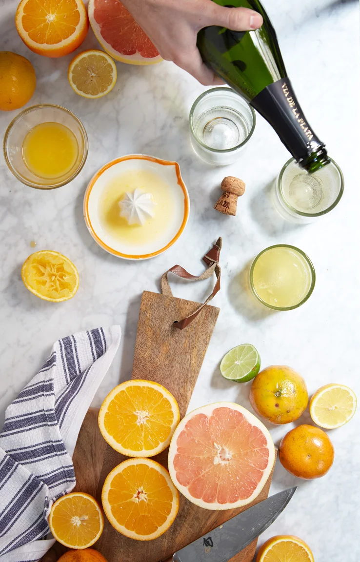 mimosa_vertical_01.jpg