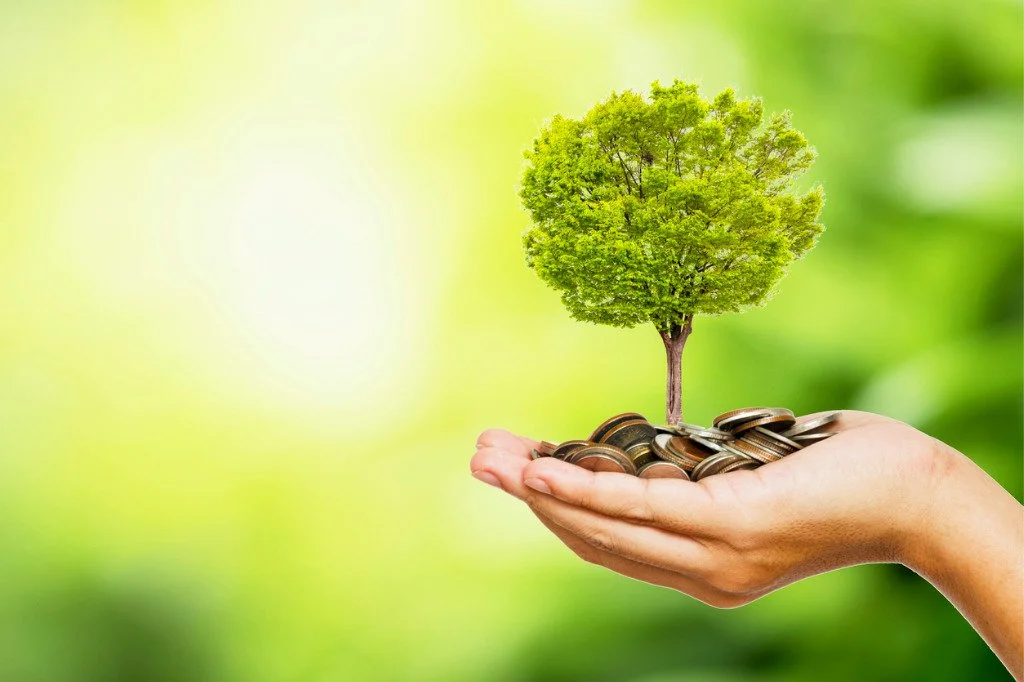 IRA's and Investments