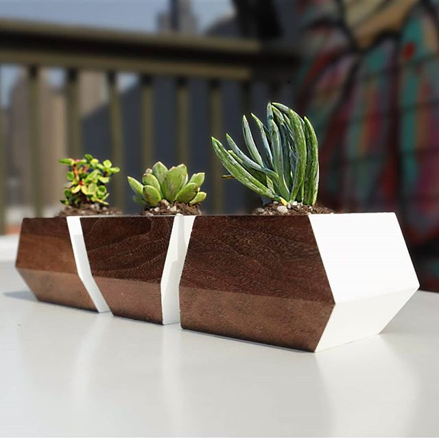 I made 3 sets of geometric succulent planters 🌱🌿, and the full build video is live on YouTube now!  LINK IN MY BIO....SWIPE ➡️ to see all 3 variations on this geometric #planter design: (1) walnut and white, (2) spalted maple and white, and (3) wal