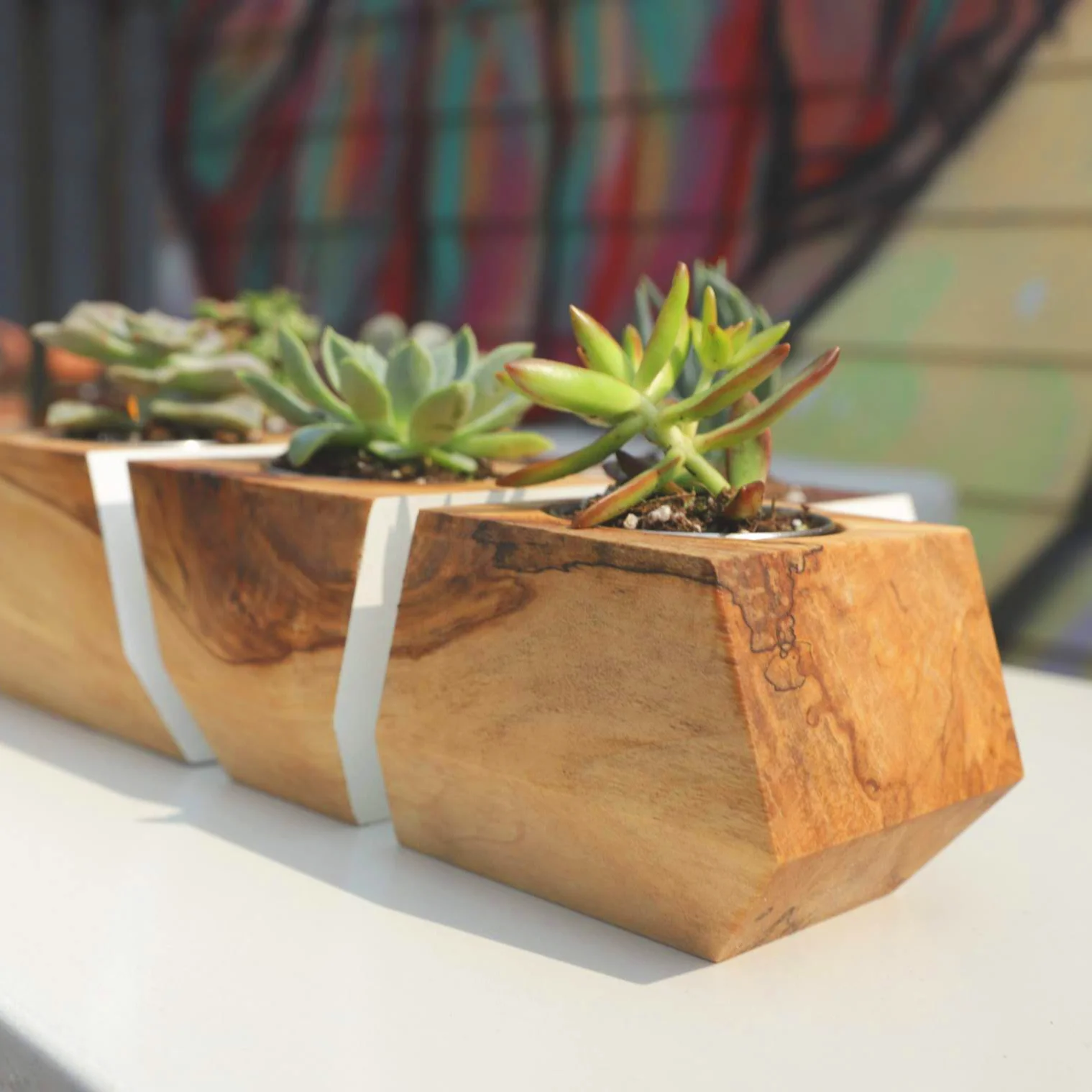 2019_06 Geo_Planter - Insta 03.jpg