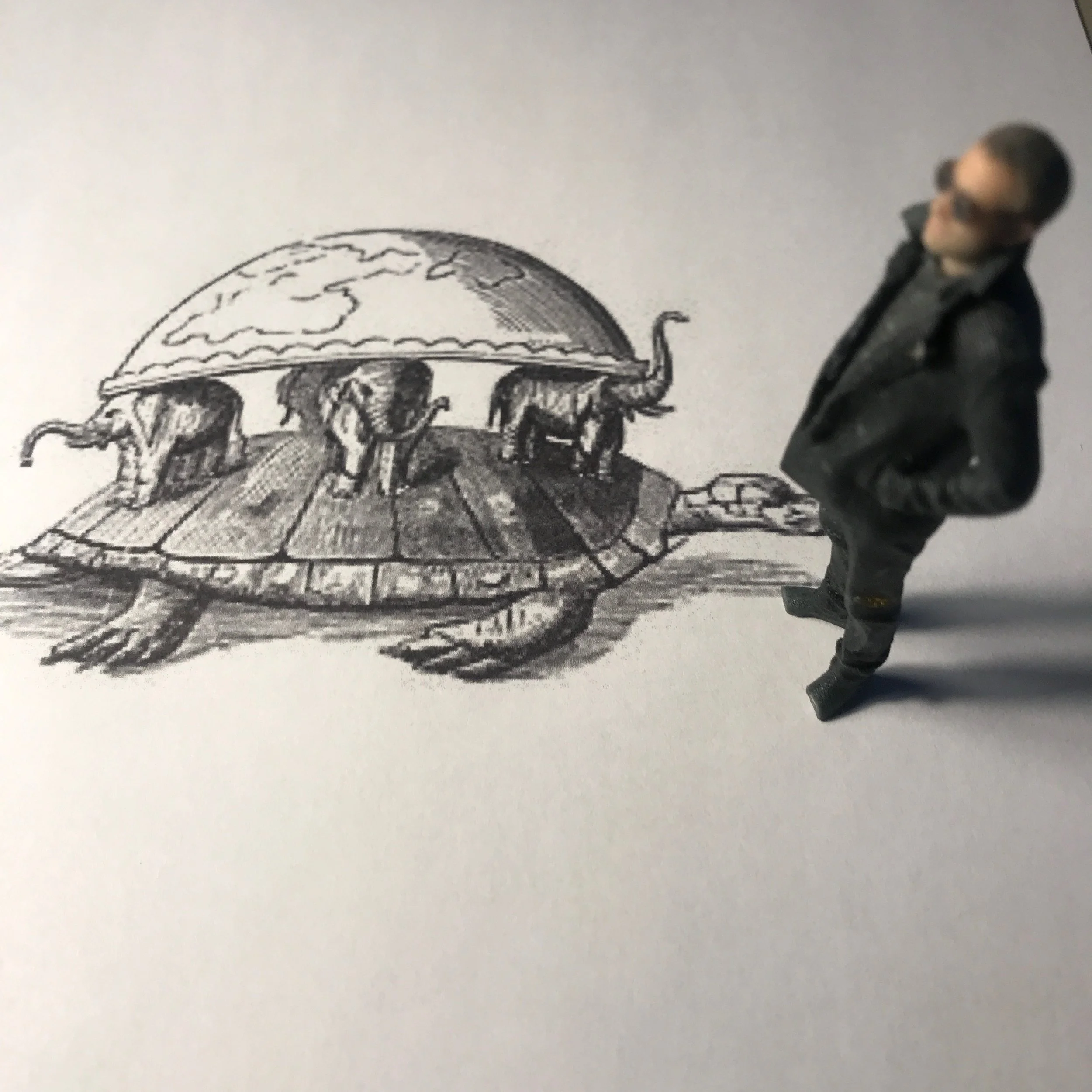 Mini-Aron och Chukwa Världssköldpaddan hänger en lördagsförmiddag på ett A4-papper vid Gärdet i Stockholm januari 2018.