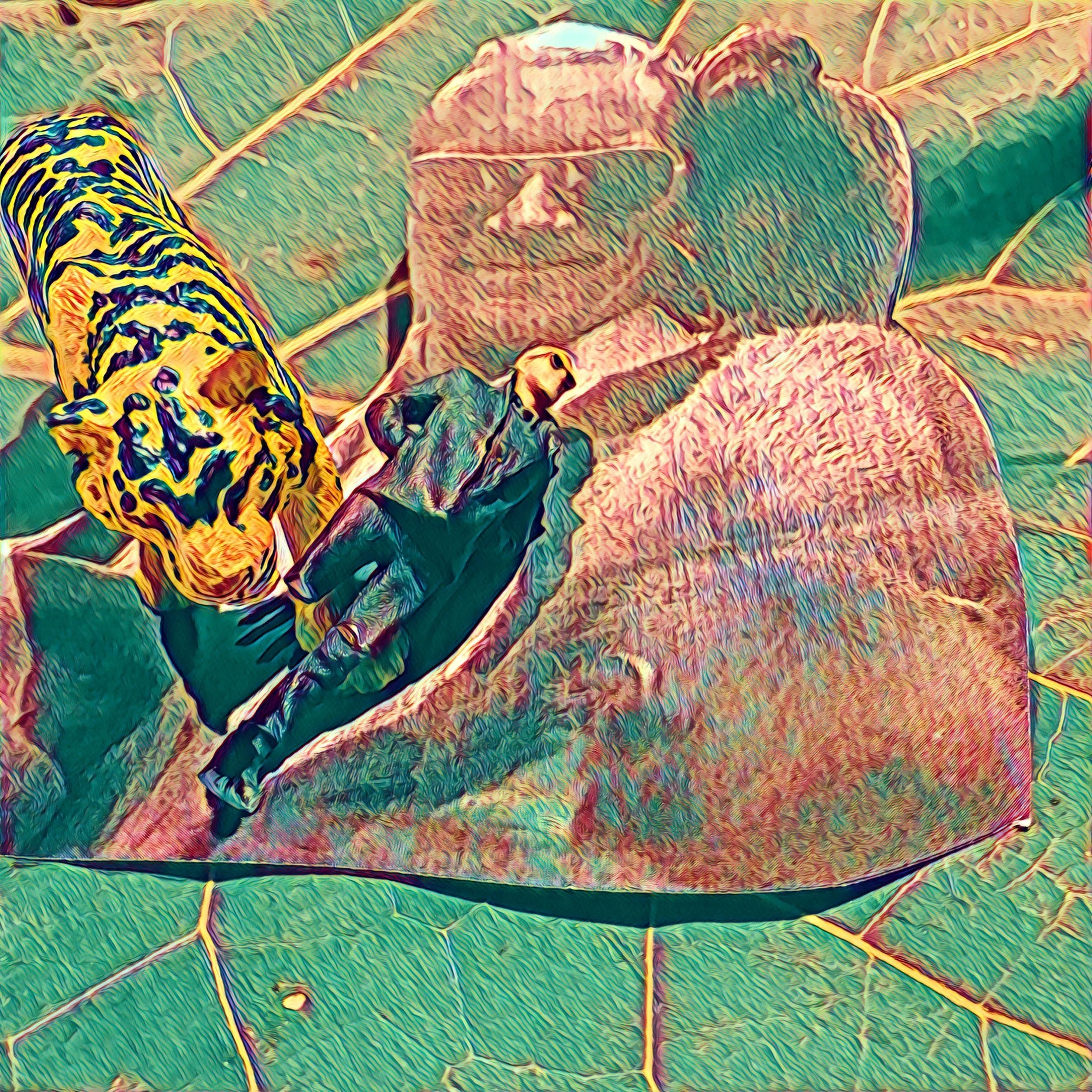 Avsnittet kan avnjutas här!