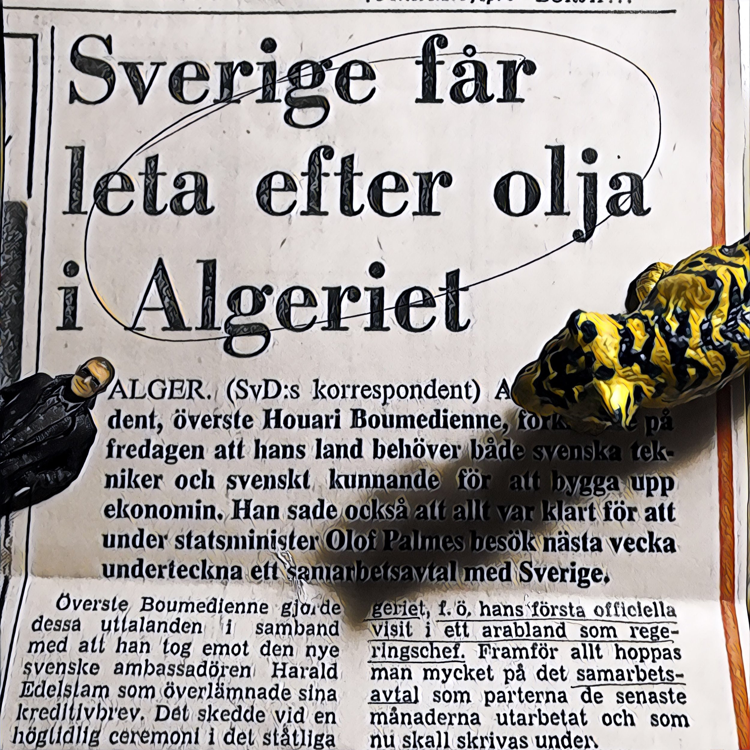 Miniaron och En Svensk Tiger läser om Sveriges oljeäventyr i Algeriet.