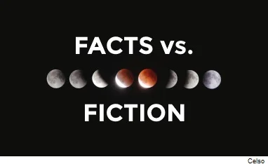 celso-405219-facts-vs-fiction.jpg