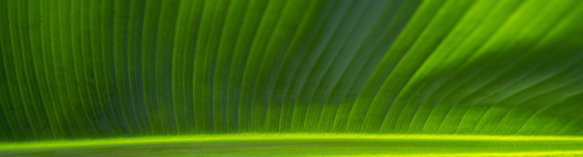 Do The Charts Align With A Bottoming Process In Stocks?