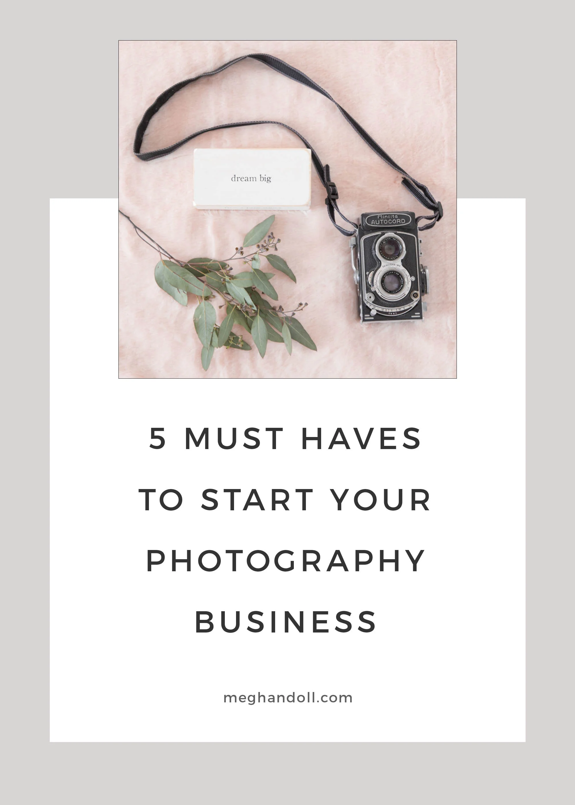 5musthaves.jpg