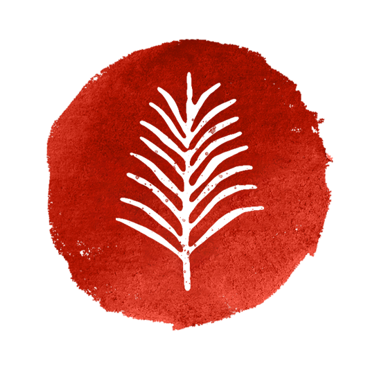 Fears, Cheers, Jeers, Tears: the 4 emotions of Palm Sunday episode artwork
