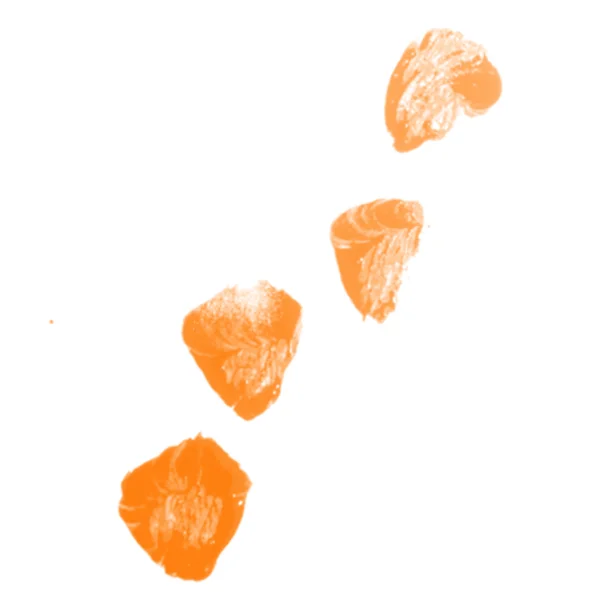 Pace-Symbol-Color.jpg