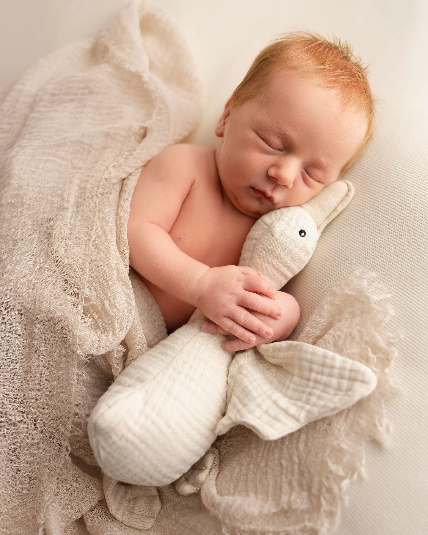 To utsnitt, samme &oslash;yeblikk.
Hvilket liker du best?
&Oslash;nsker deg en nydelig ny uke! 
N&aring; bookes terminer for h&oslash;sten 2026. 🙏🏻

Her blir det fullt kj&oslash;r denne uken med hele 3 nyf&oslash;dte, 2 etter&aring;inger, ett bryll