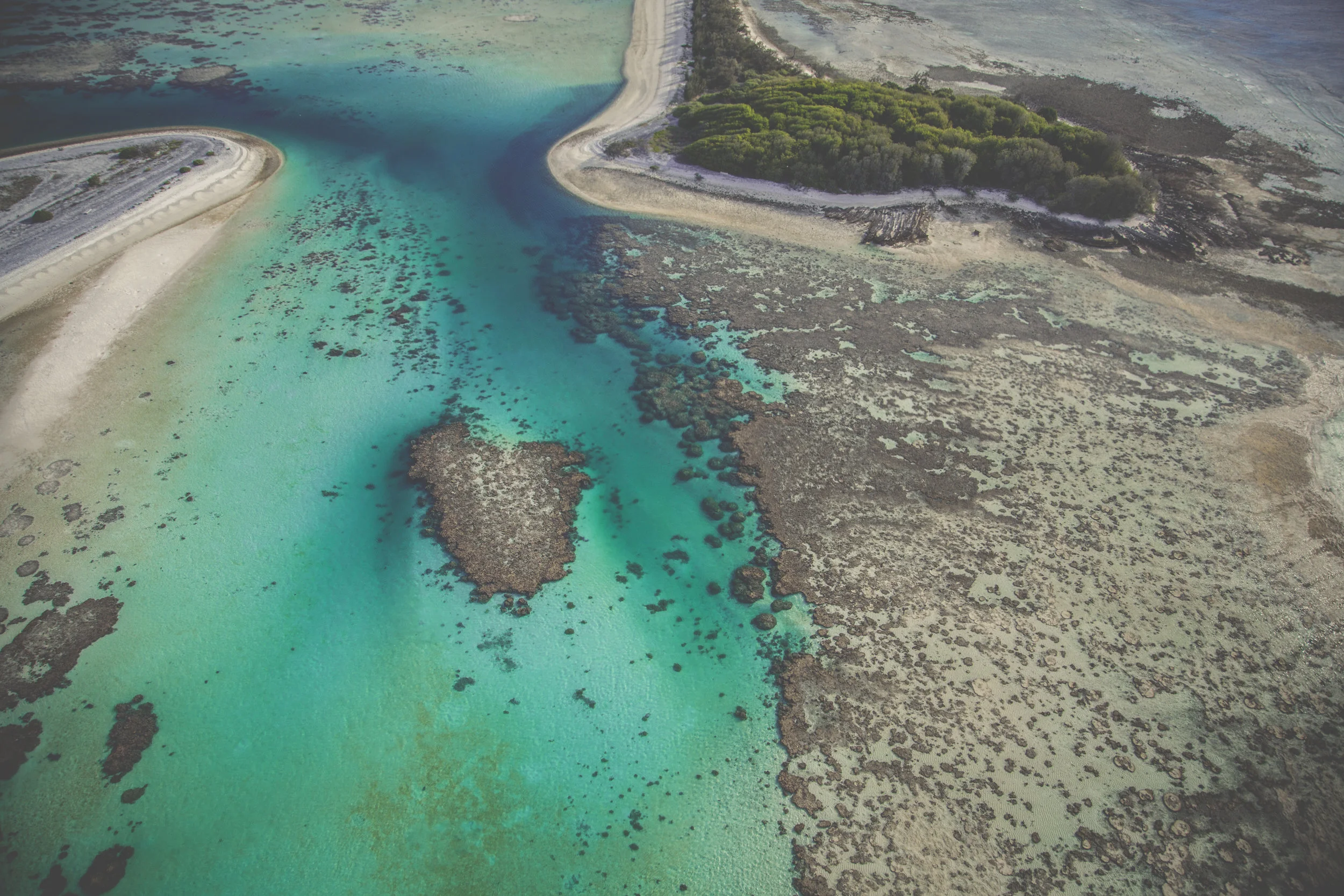 2016.11.02 - WestPLOY 16 - Transit to Brisbane - More of the Great Barrier Reef on 2 Nov 16.jpg