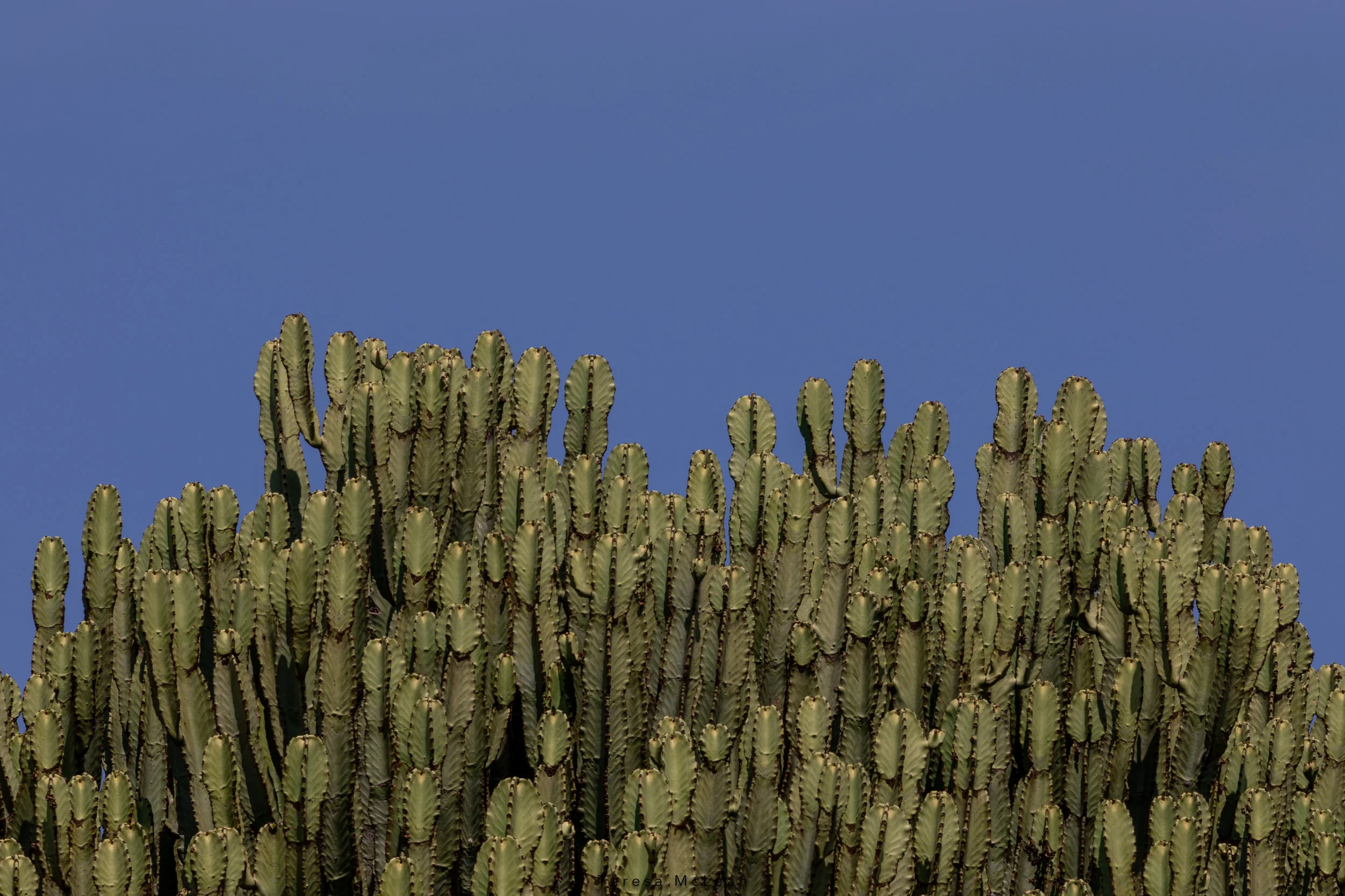 Candelabra and Sky