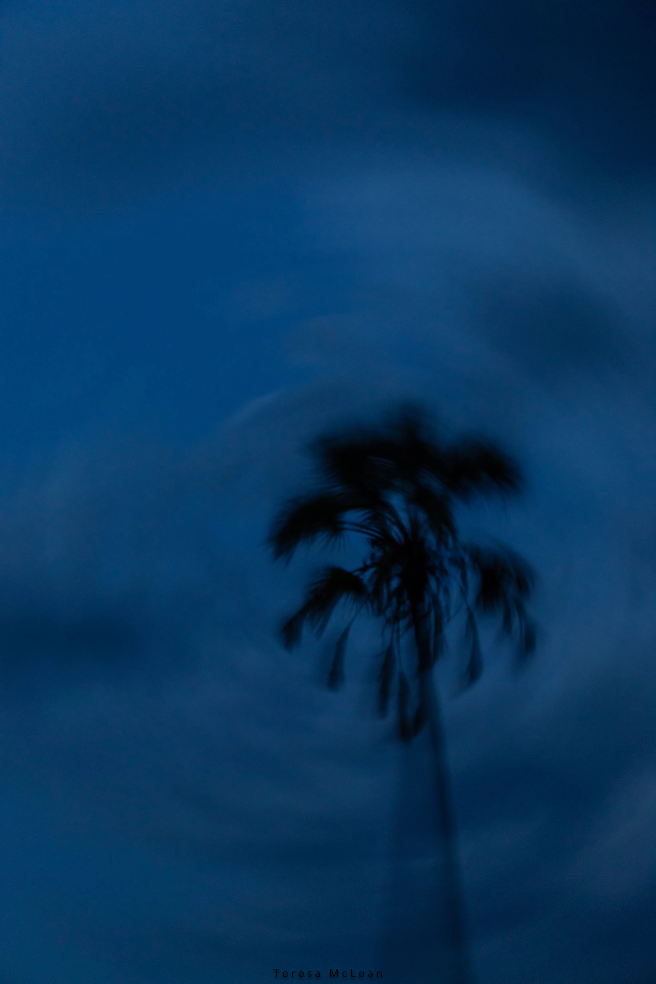 Palm II