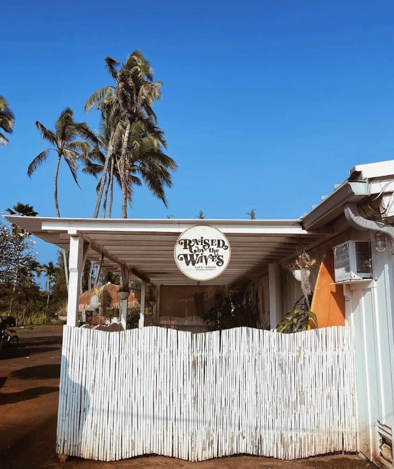 We love your RBTW POV 🌞💫🥹🫶🏽 Tag us on your circle island cruise 🤙🏽 @raisedbythewaves 

#raisedbythewaves #plantbased #vegan