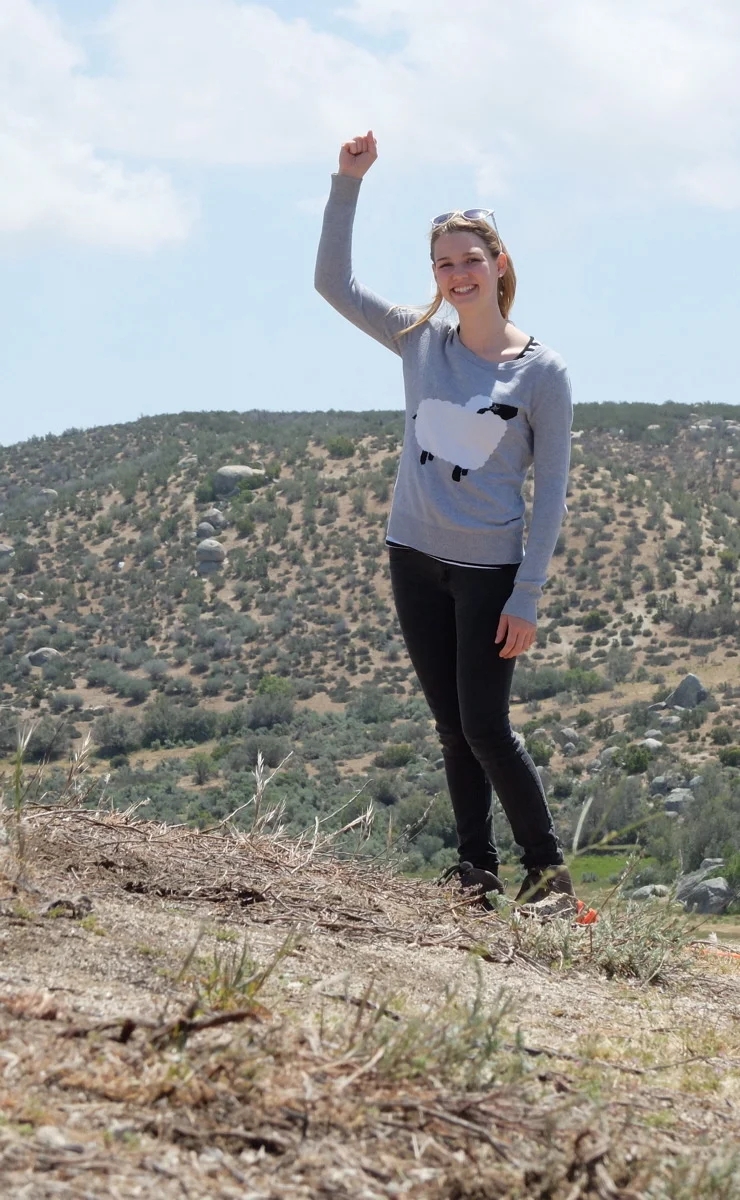 s0886539.jpg