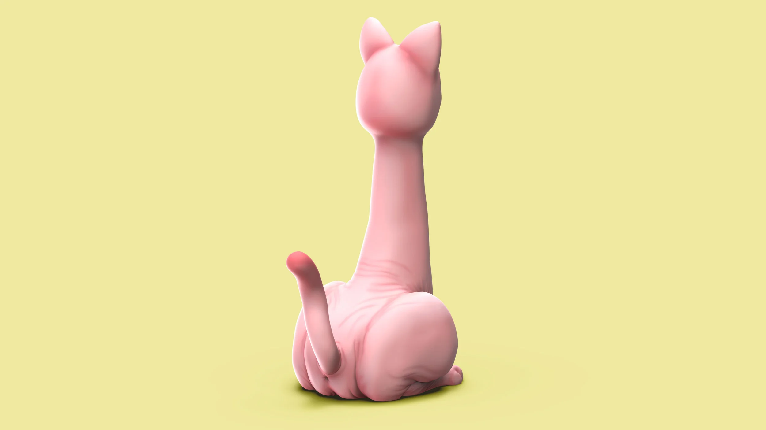 DildoCat-Camera-for-Studio-3.jpg