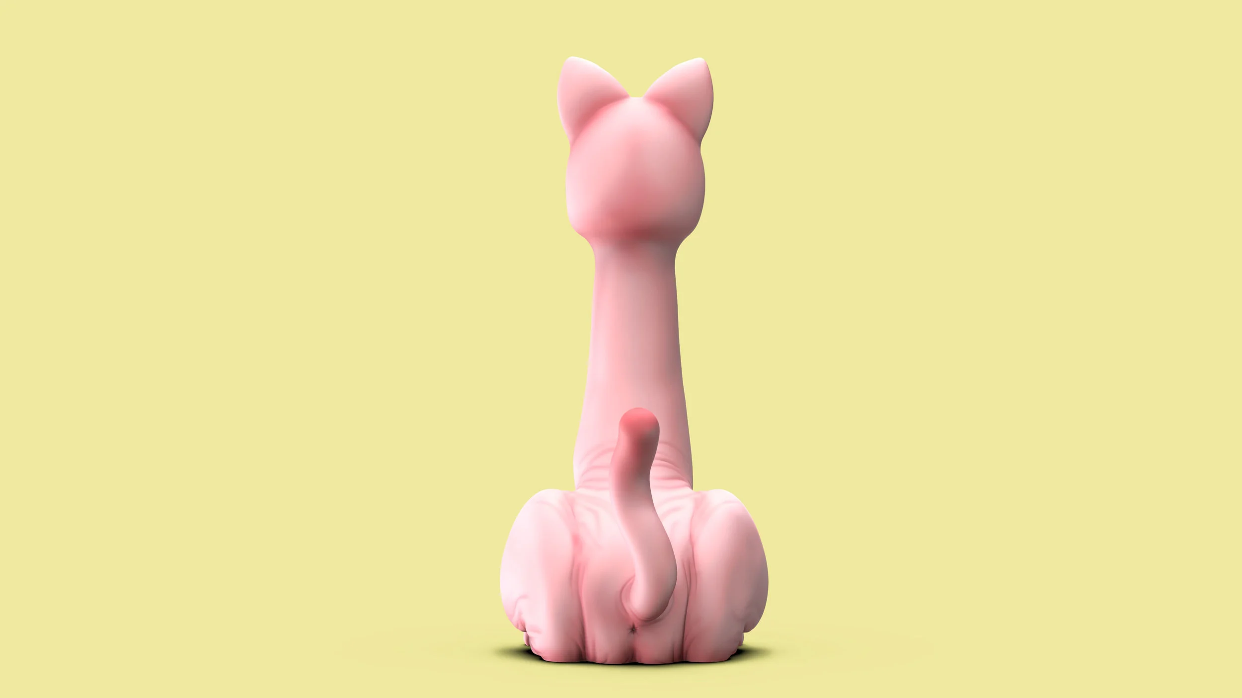 DildoCat-Camera-for-Studio-5.jpg